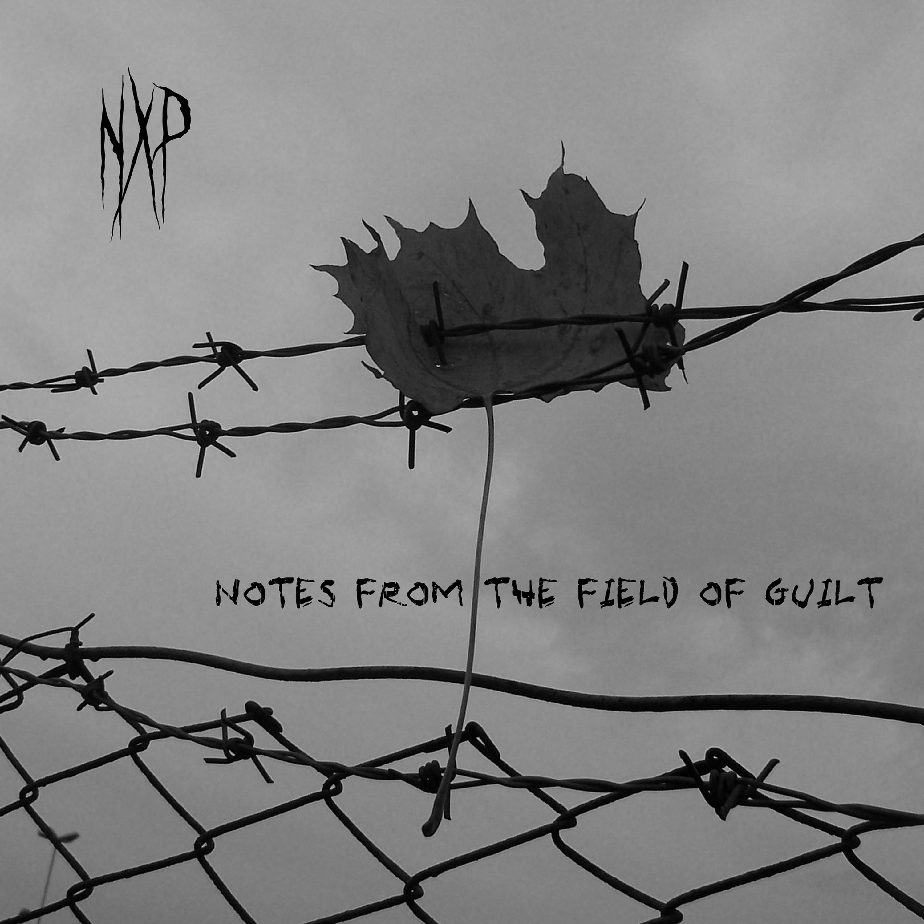 Постер альбома Notes from the Field of Guilt