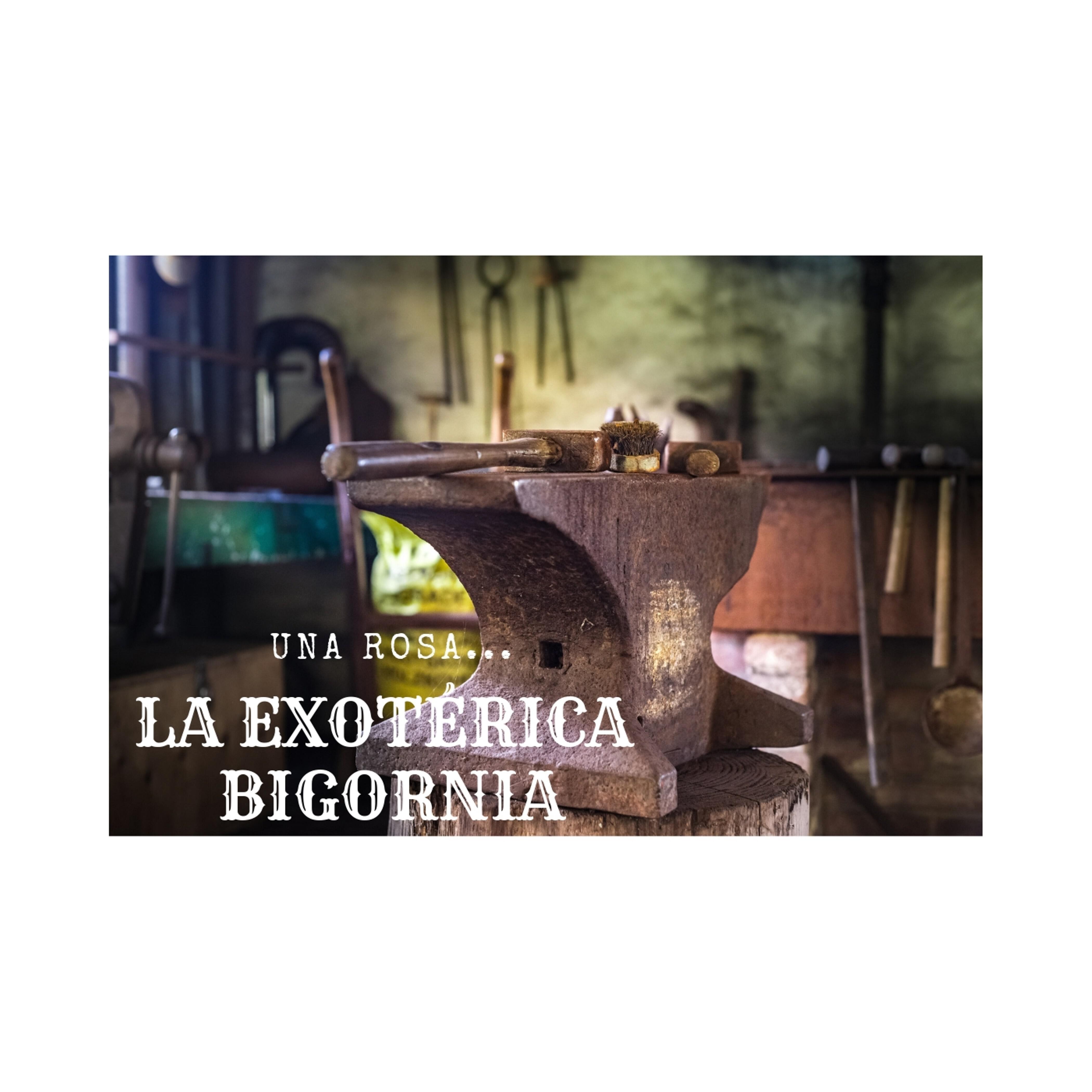 La Exoterica Bigornia - Flechas Al Azar