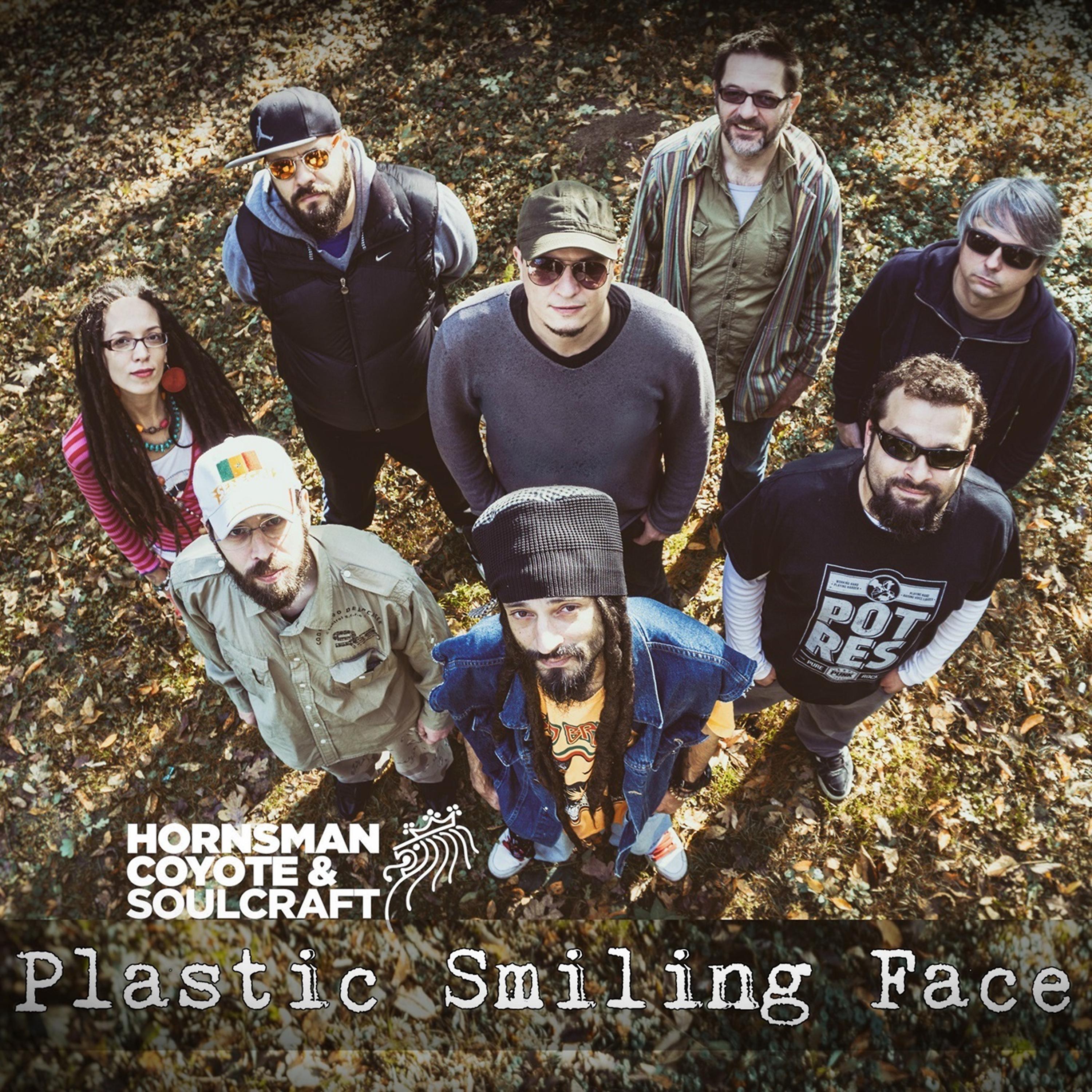 Постер альбома Plastic Smiling Face