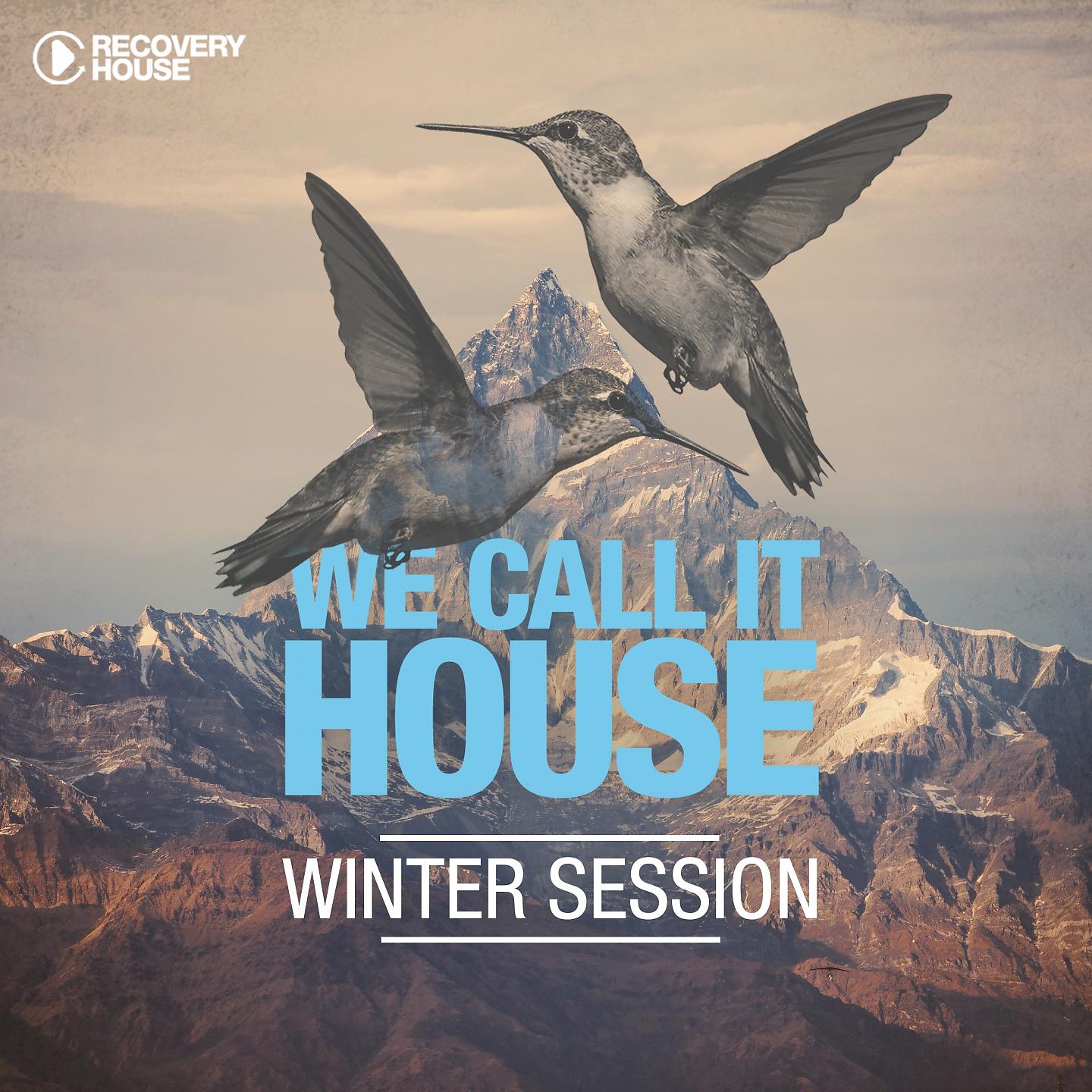 Постер альбома We Call It House - Winter Session 2015
