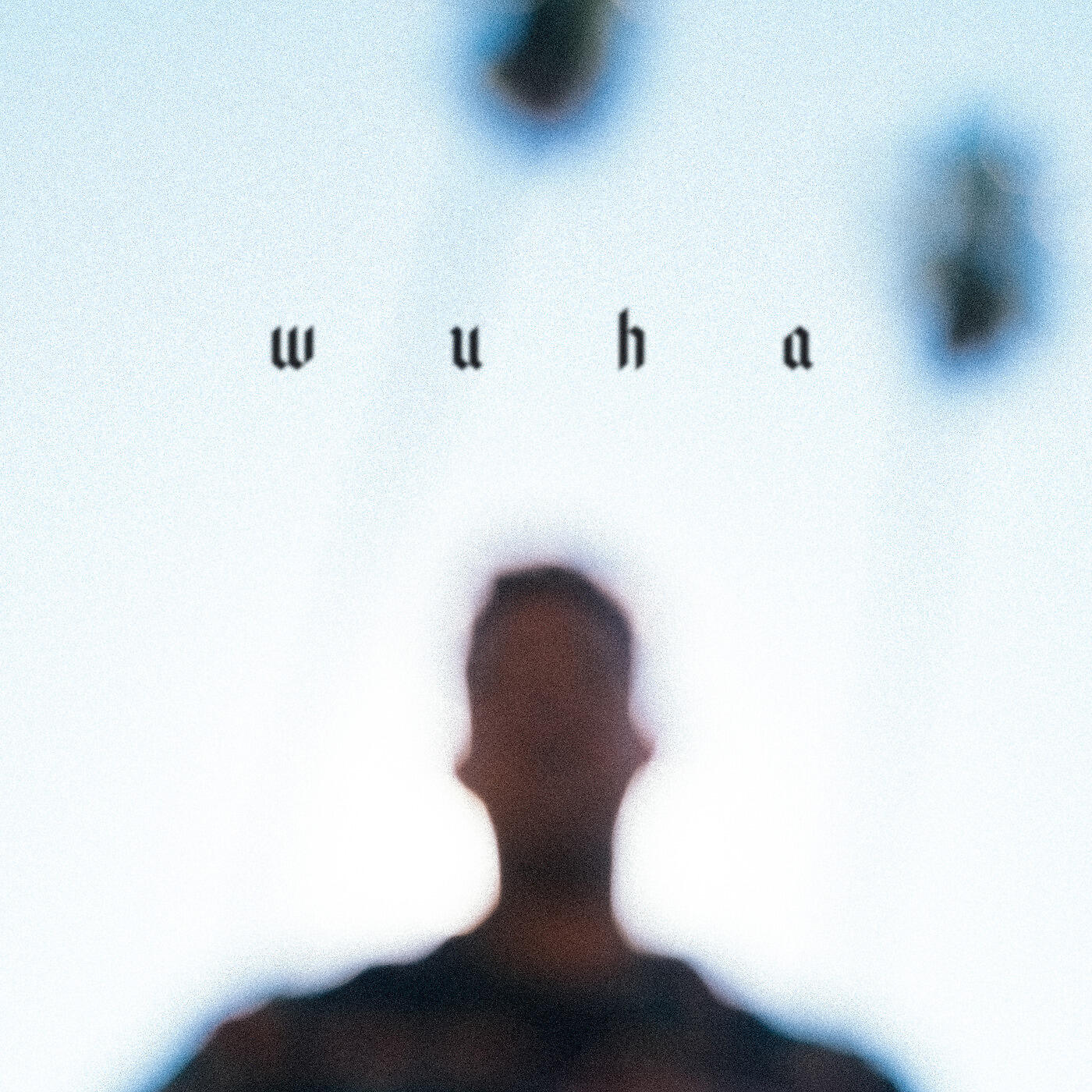 Felege - Wuha