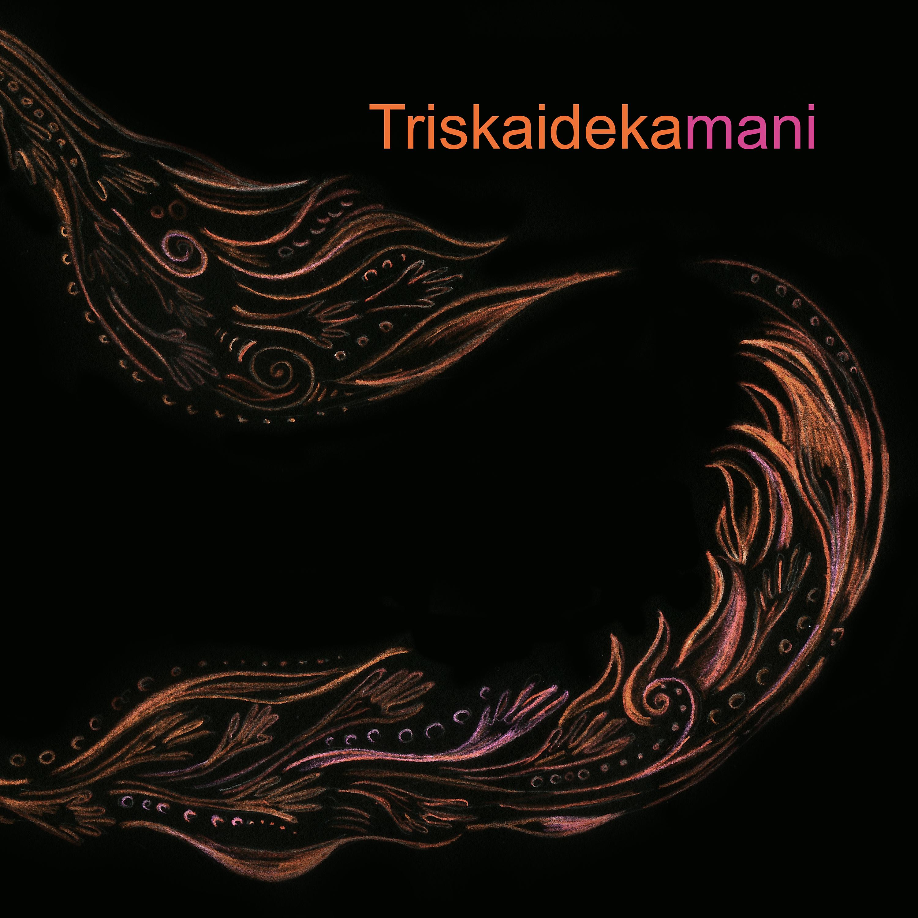 Постер альбома Triskaidekamani