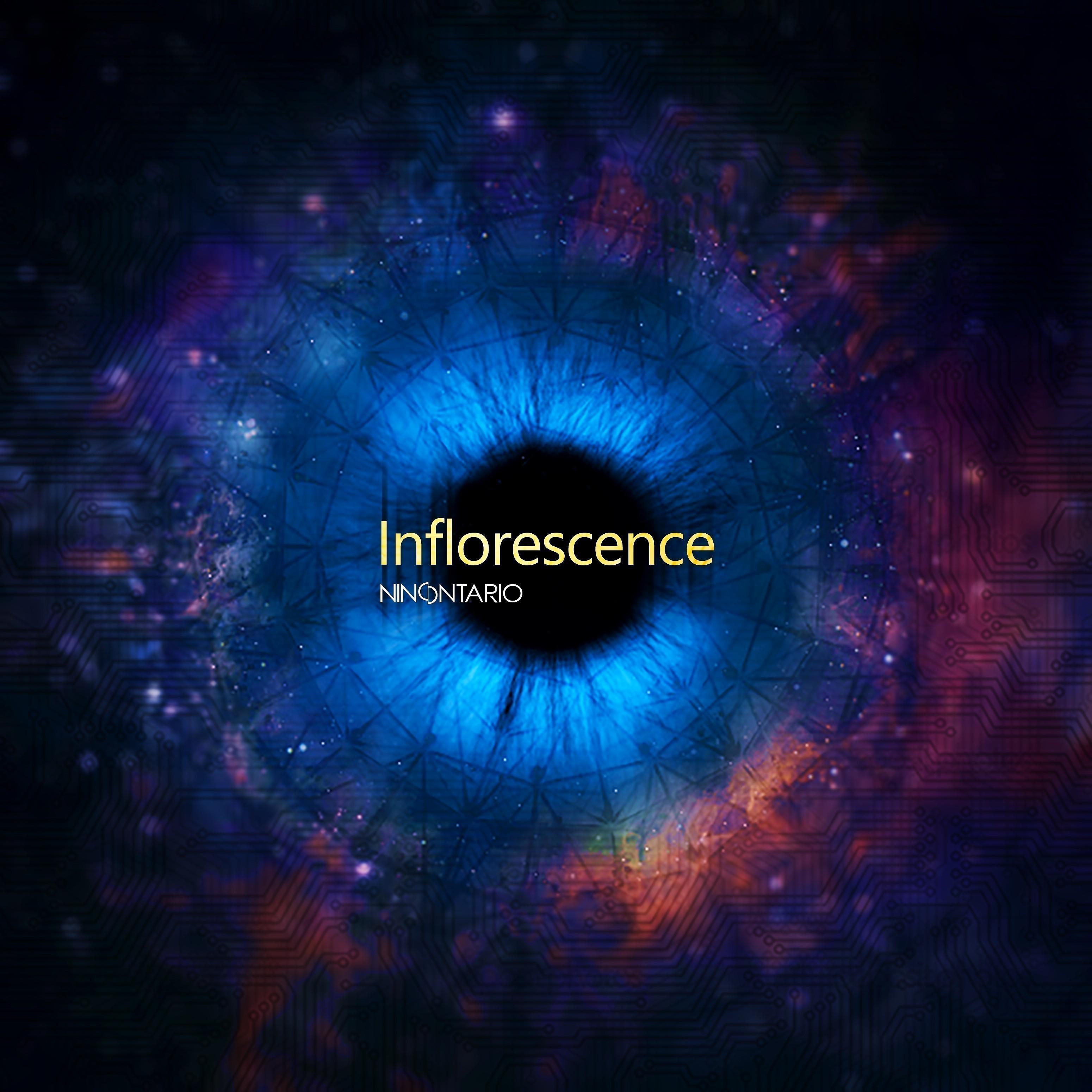 Постер альбома Inflorescence