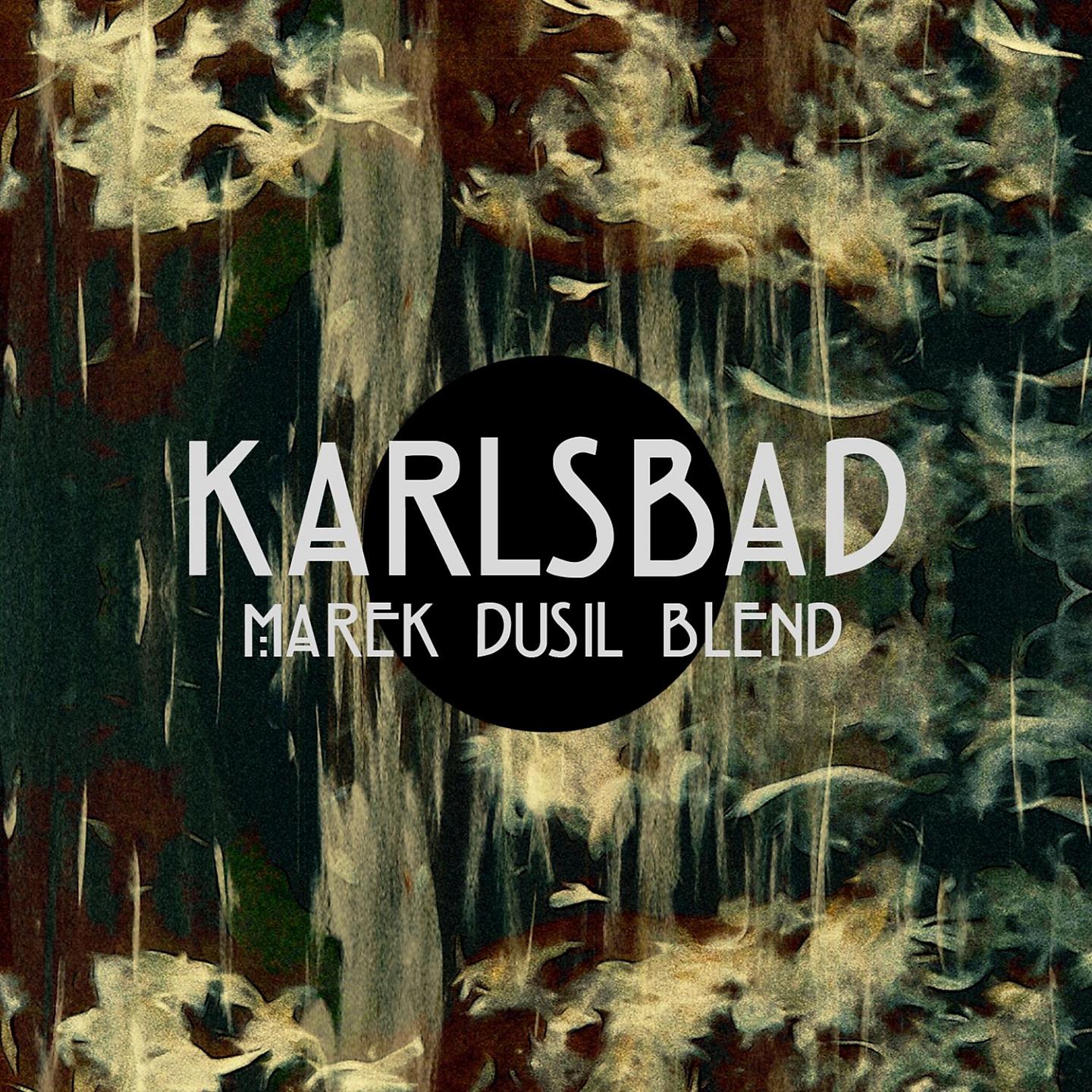 Постер альбома Karlsbad