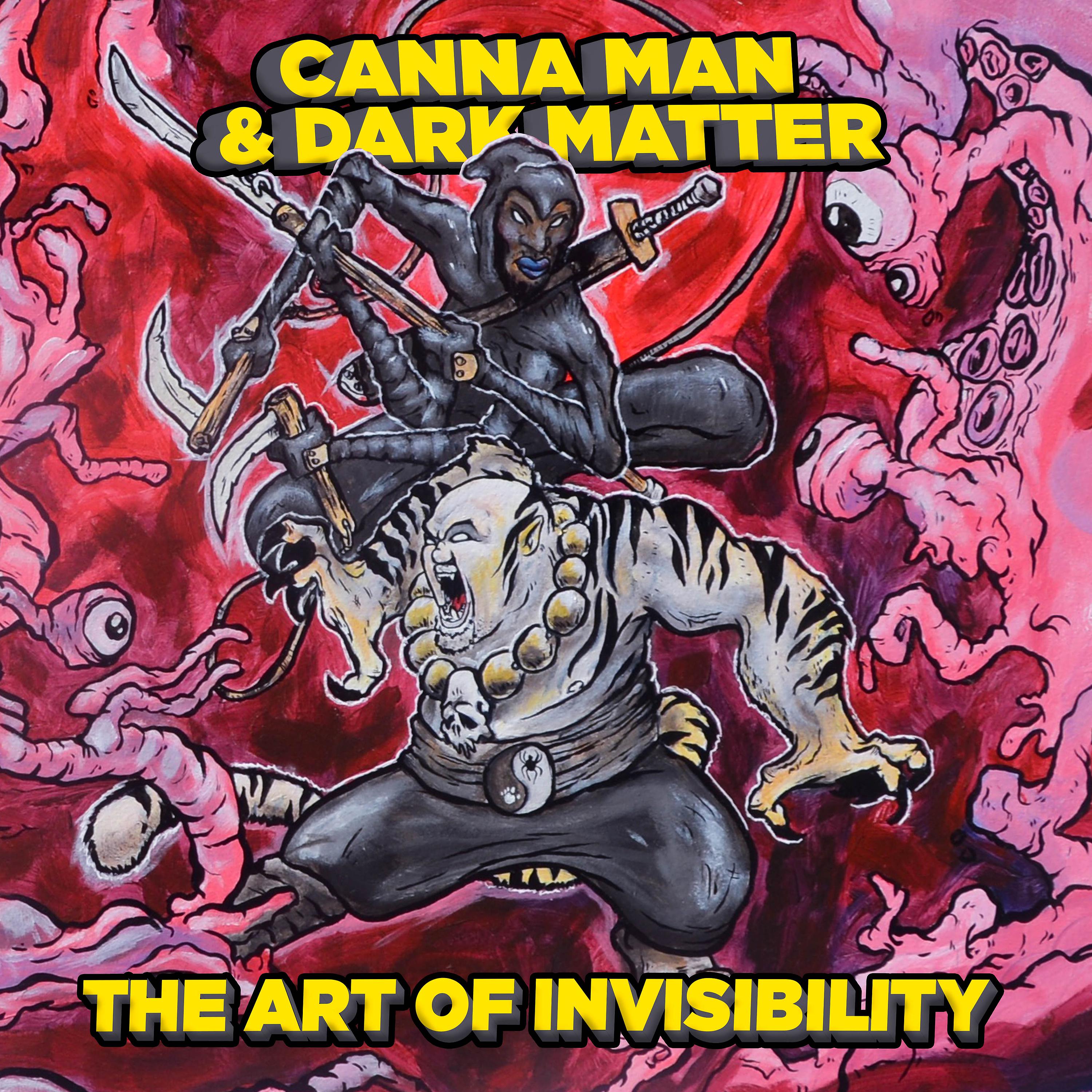 Постер альбома The Art of Invisibility