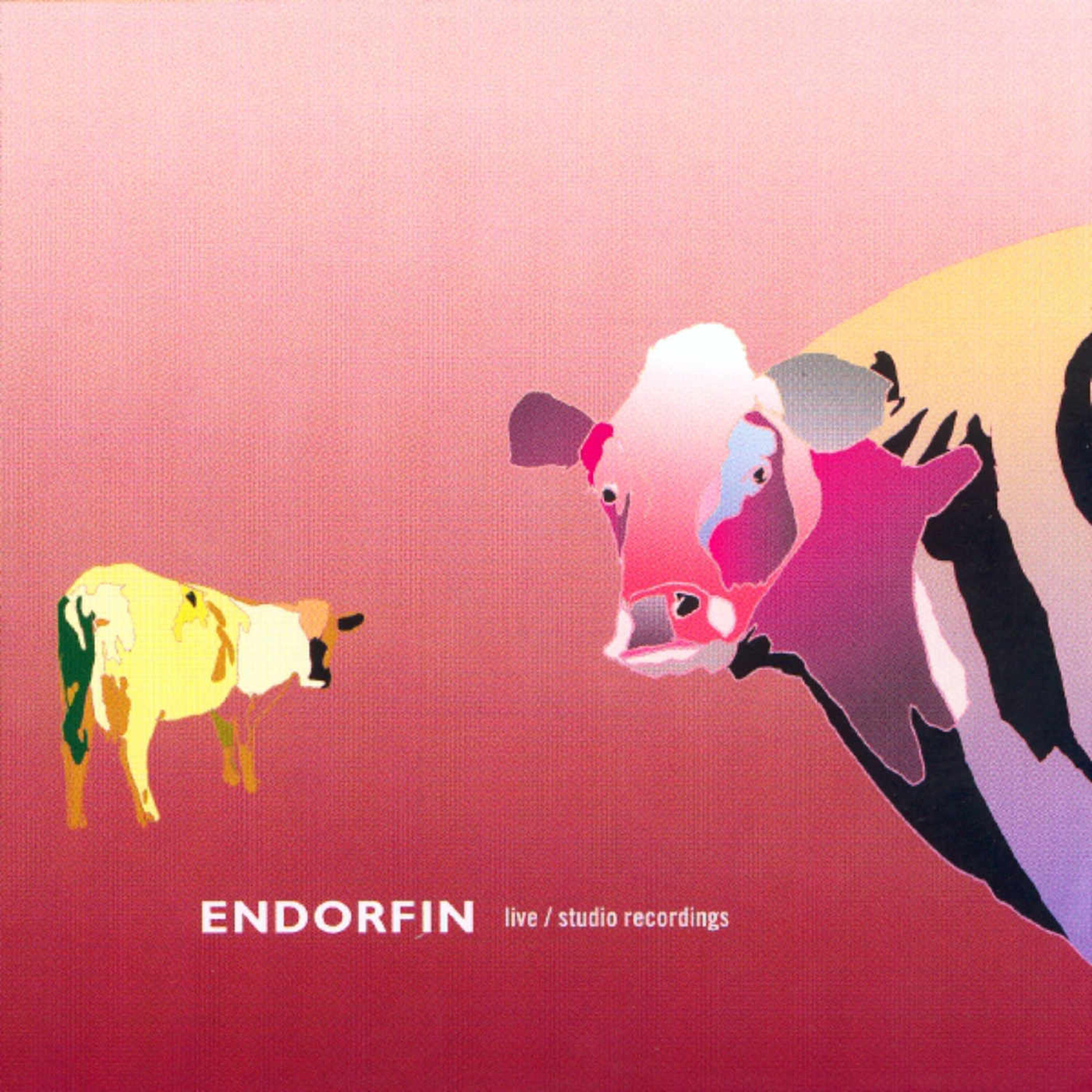 ENDORFIN - Snik Snak (Live)