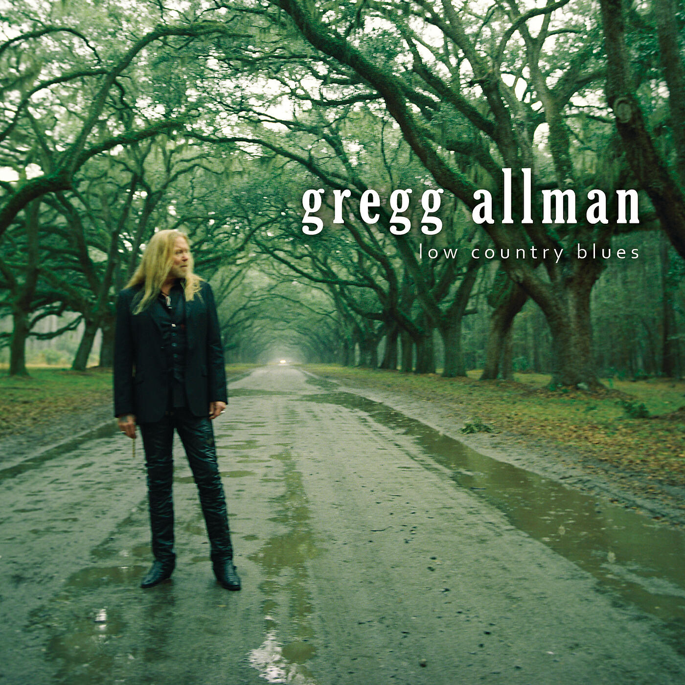 Gregg Allman - Please Accept My Love