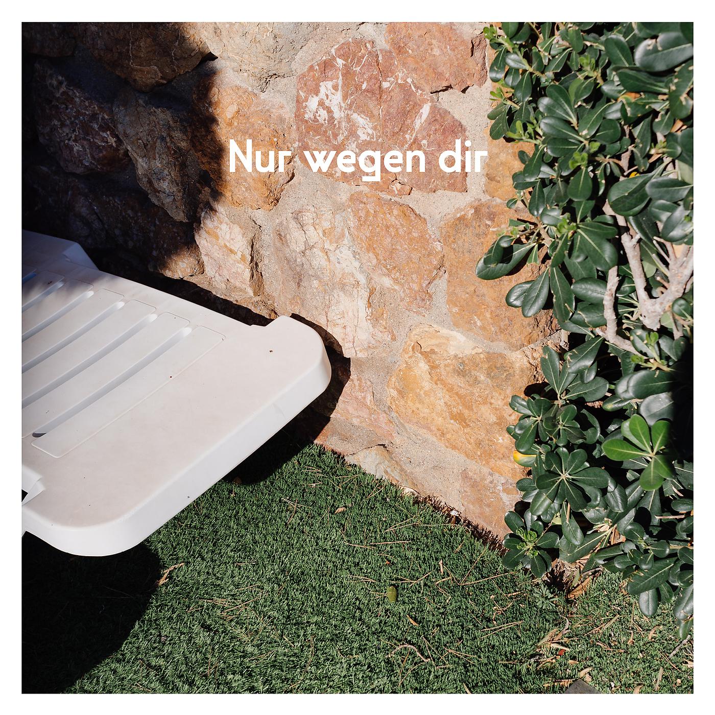 Постер альбома Nur wegen dir