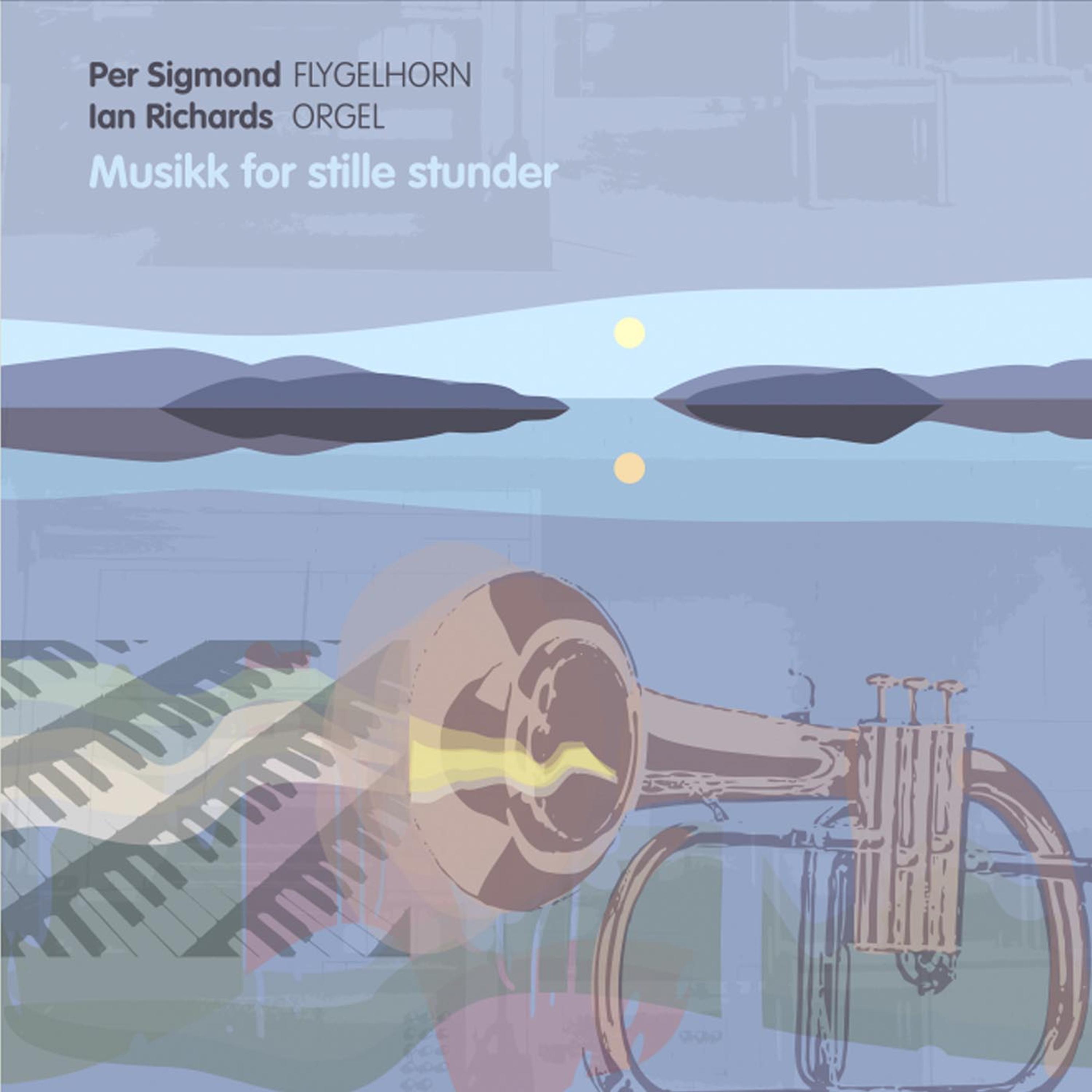 Постер альбома Musikk for stille stunder