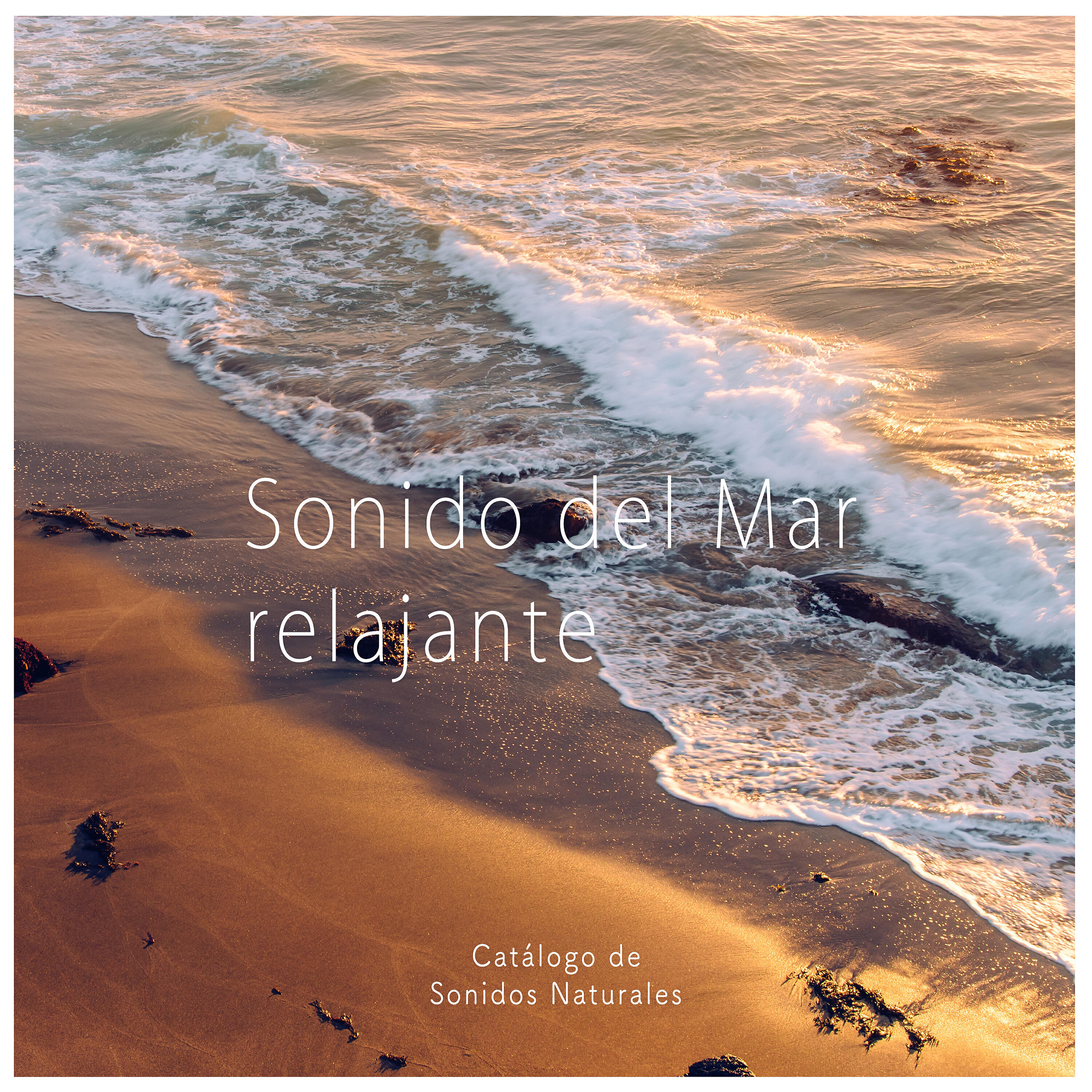 Catálogo de Sonidos Naturales - Ocean Sounds: Dream Ocean