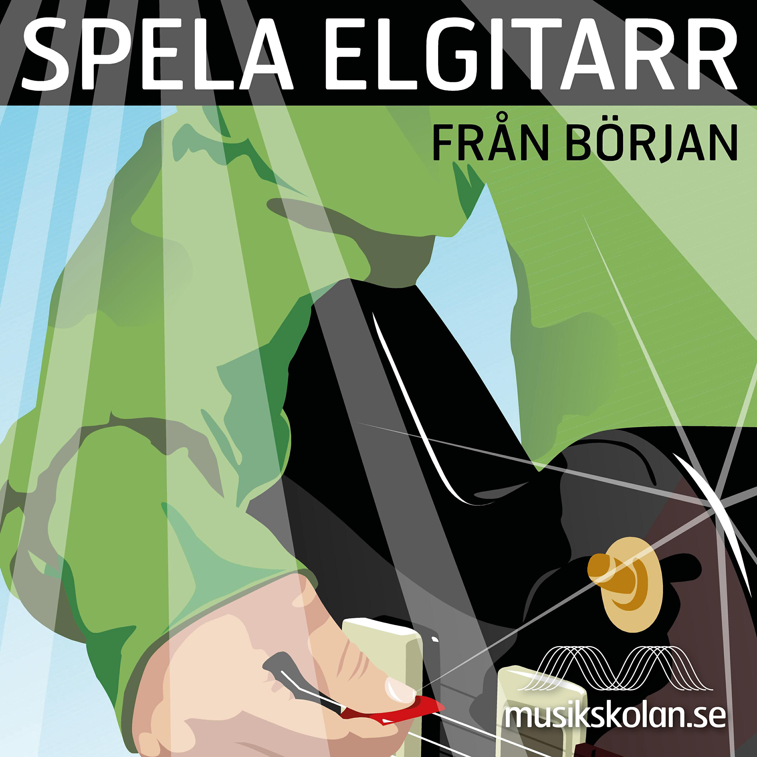 Spela elgitarr från början - nybörjarbok för elgitarr - Celebrity Skin