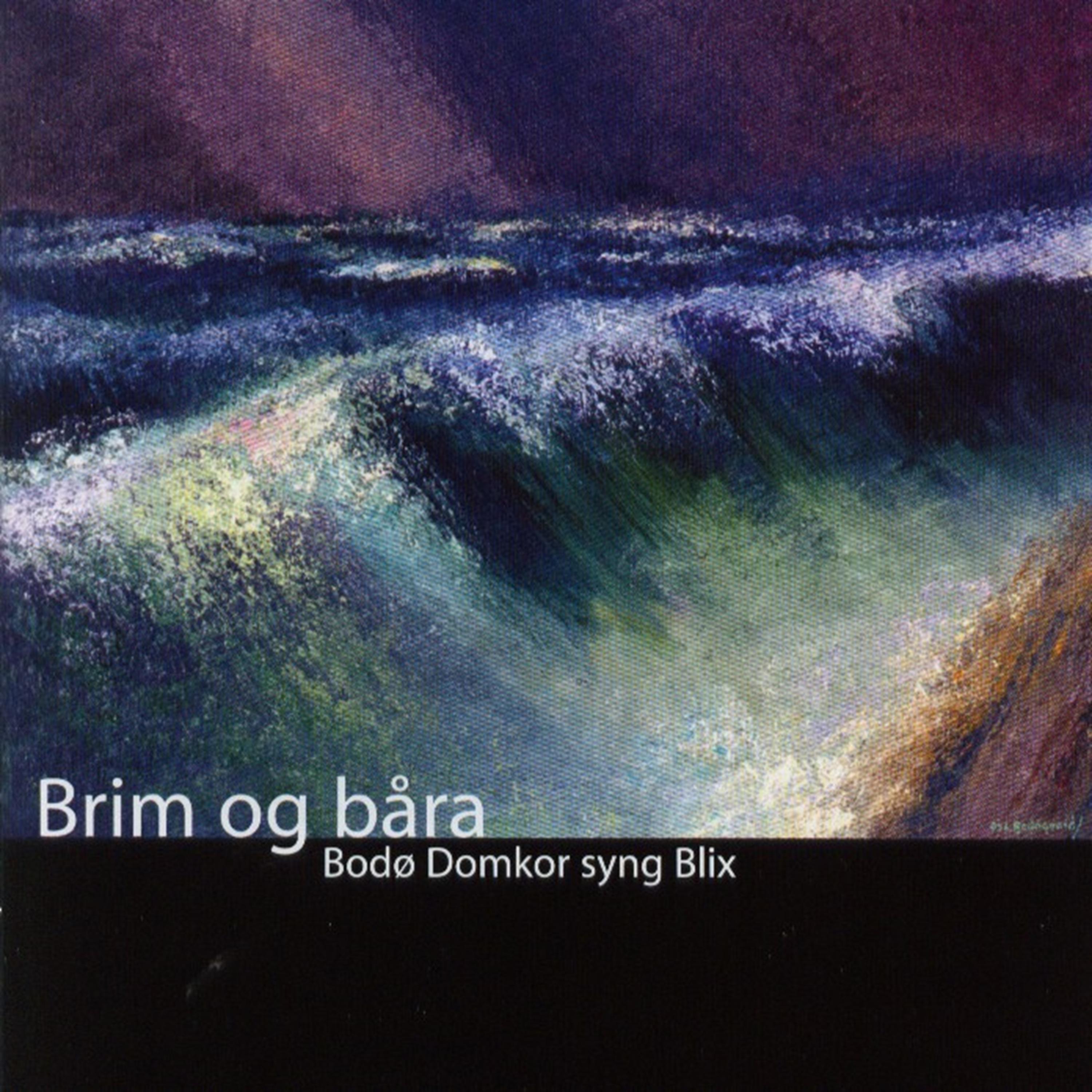 Постер альбома Brim Og Båra