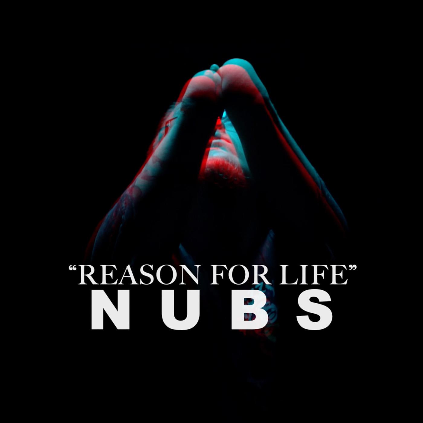 Постер альбома Reason for Life