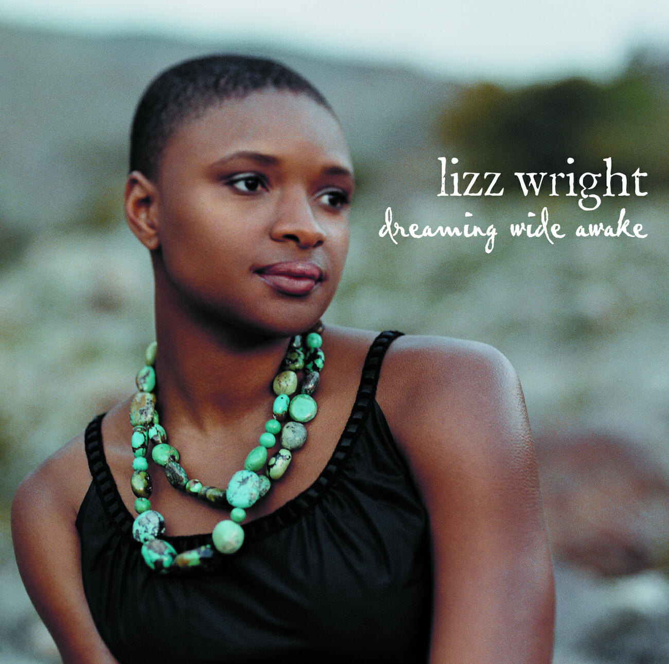 Lizz Wright - Dreaming Wide Awake