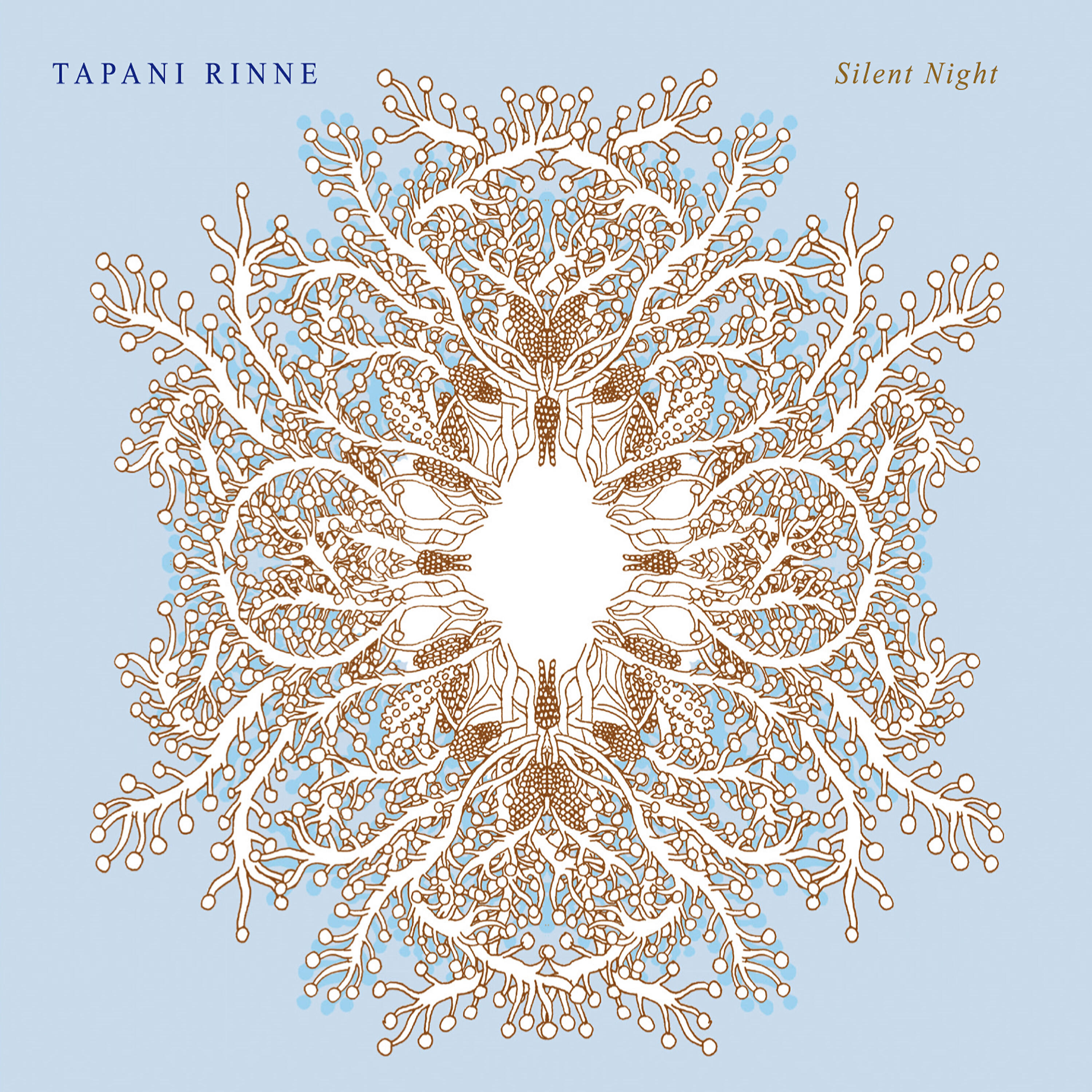 Tapani Rinne - Snowflakes