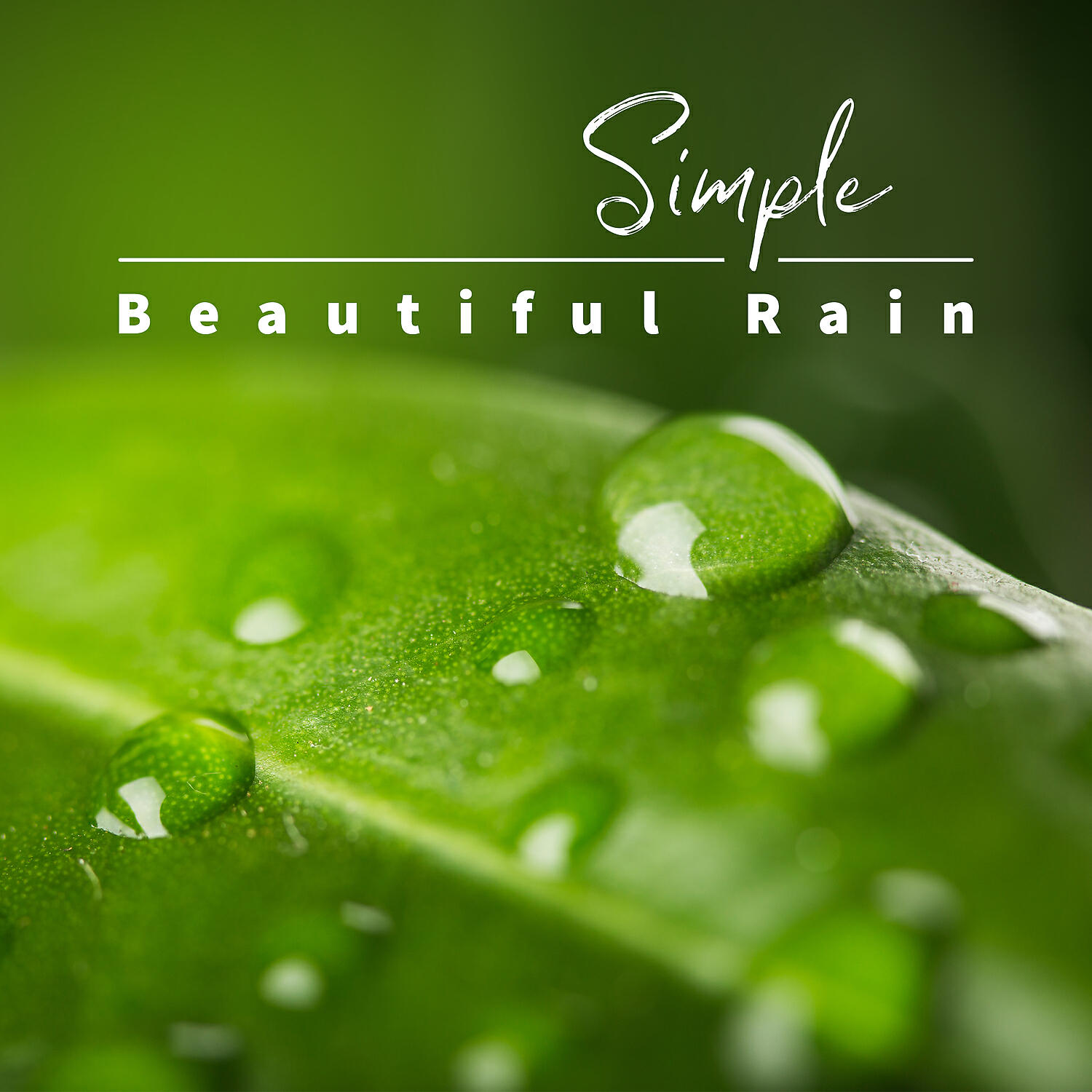 Relaxing Nature Sounds Collection - Natural