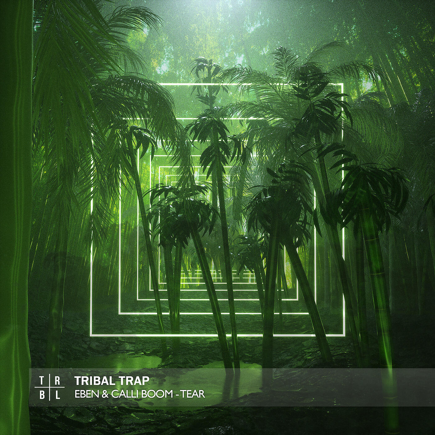 Calli Boom - Tear