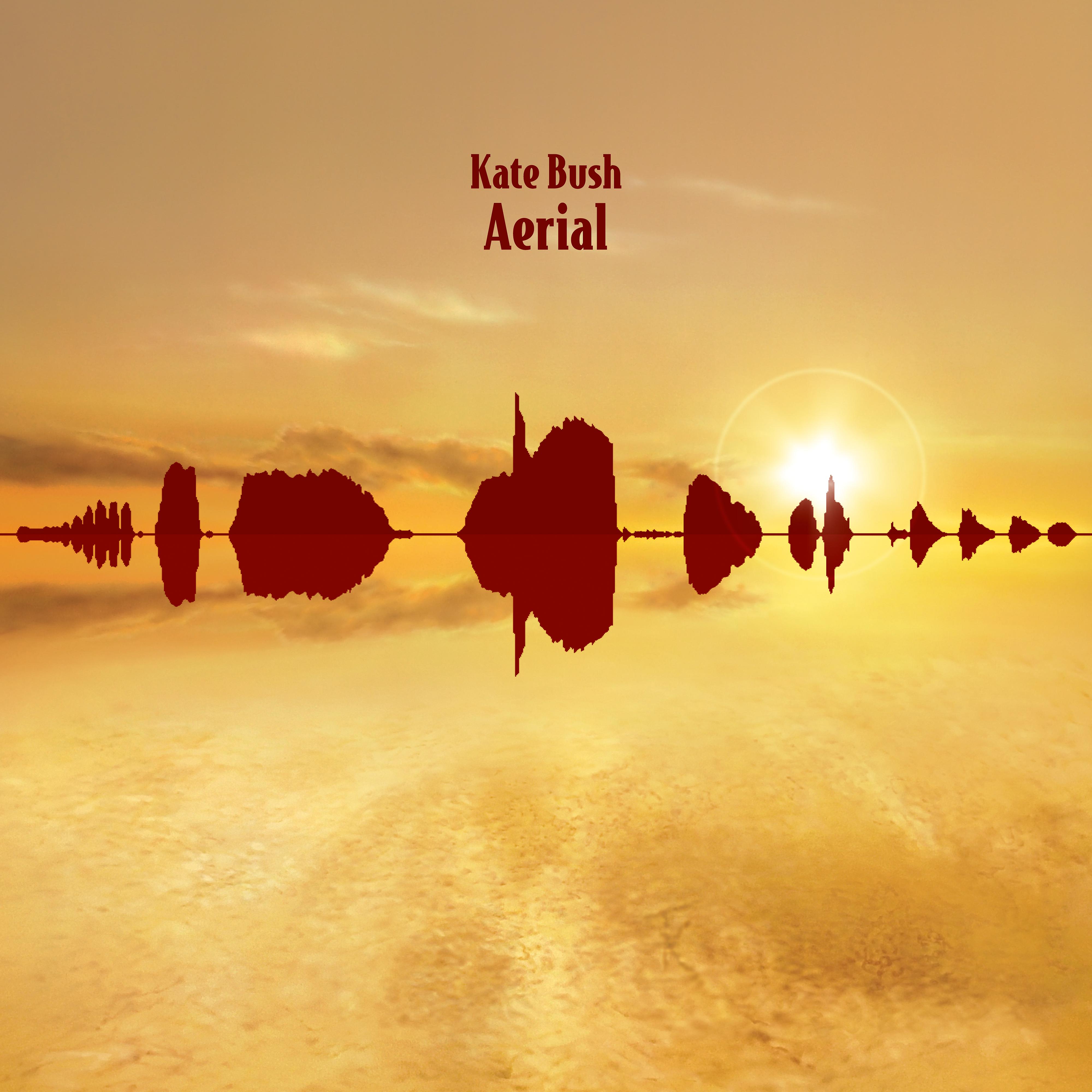 Постер альбома Aerial (2018 Remaster)