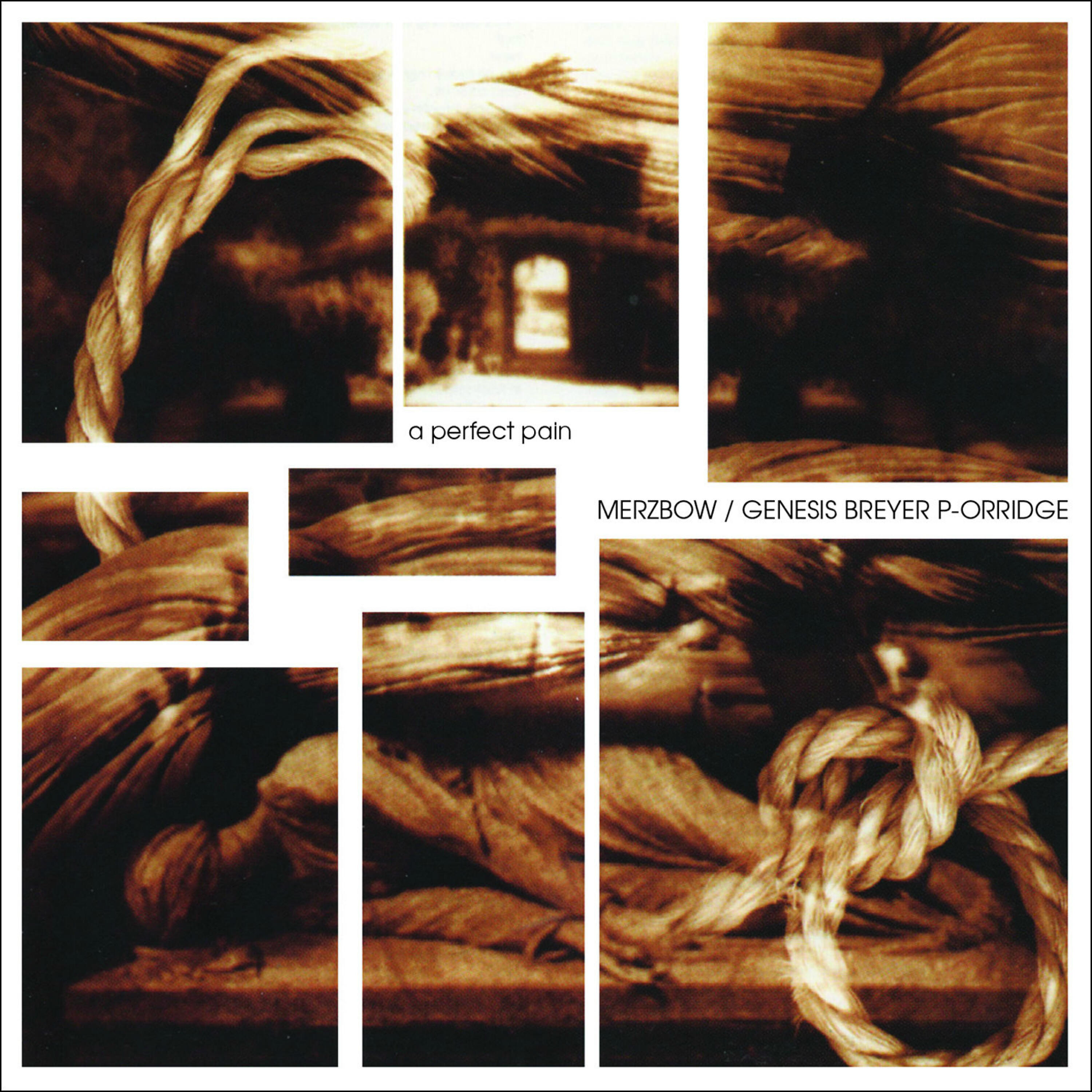 Merzbow - Flowering Pain Give Space