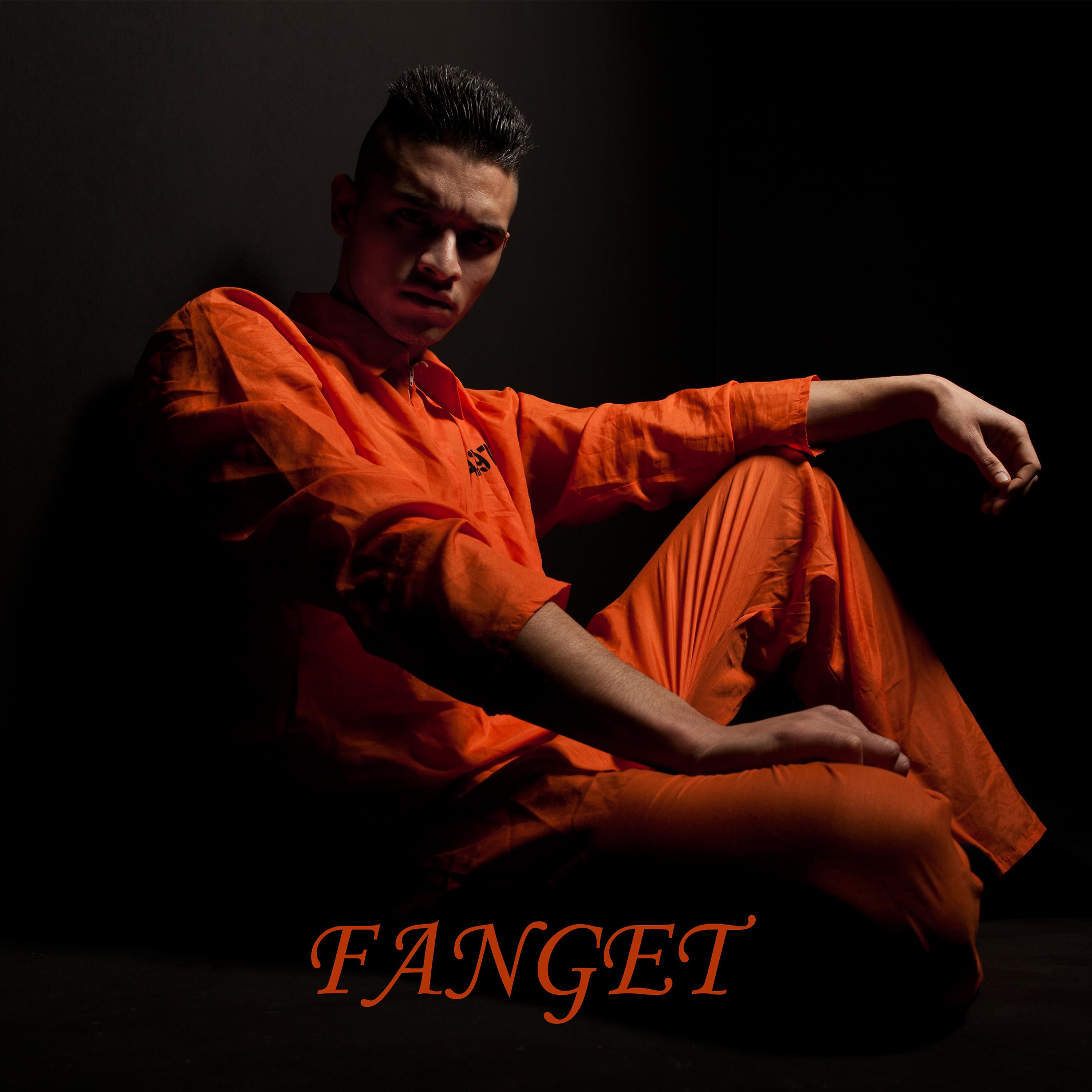 Постер альбома Fanget