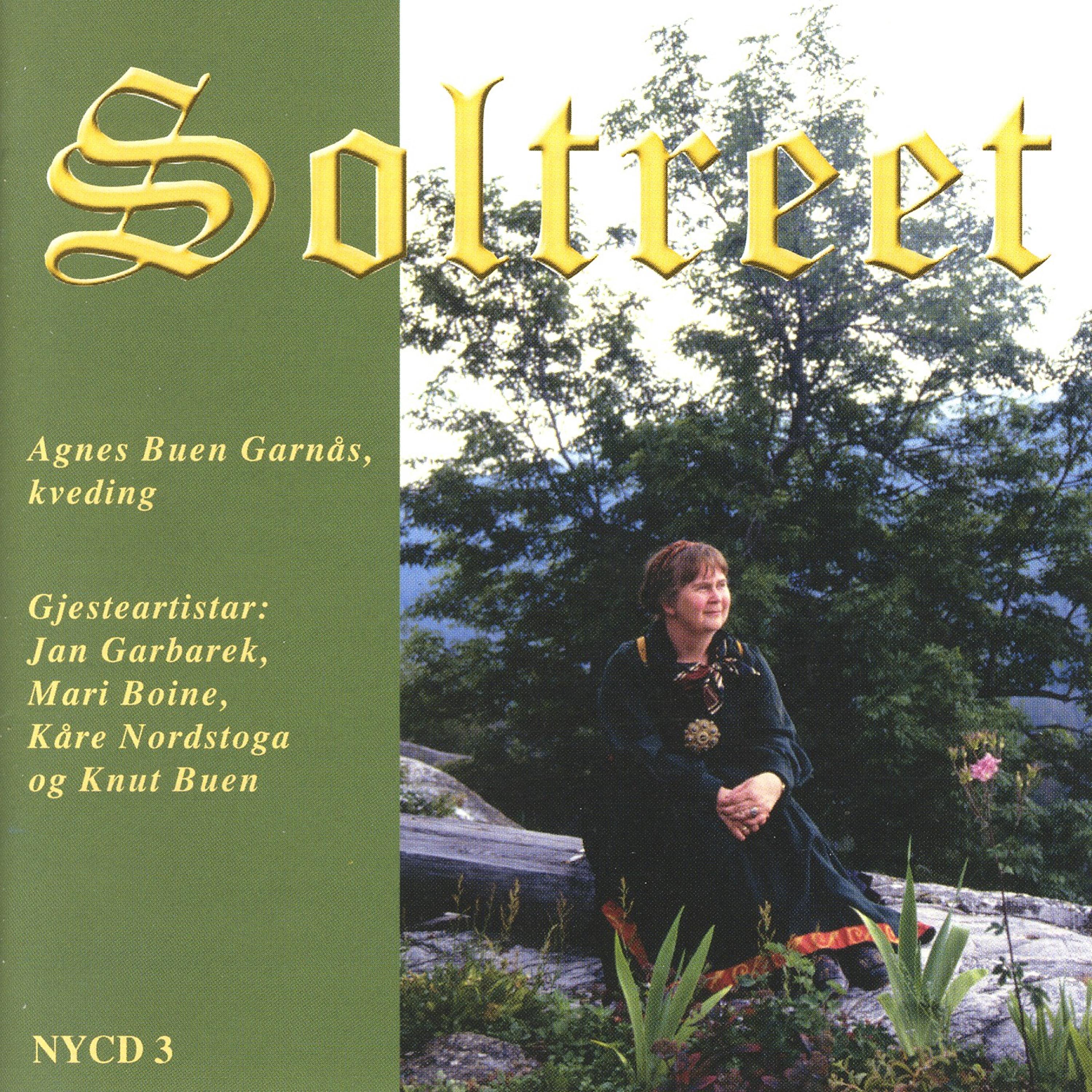 Постер альбома Soltreet