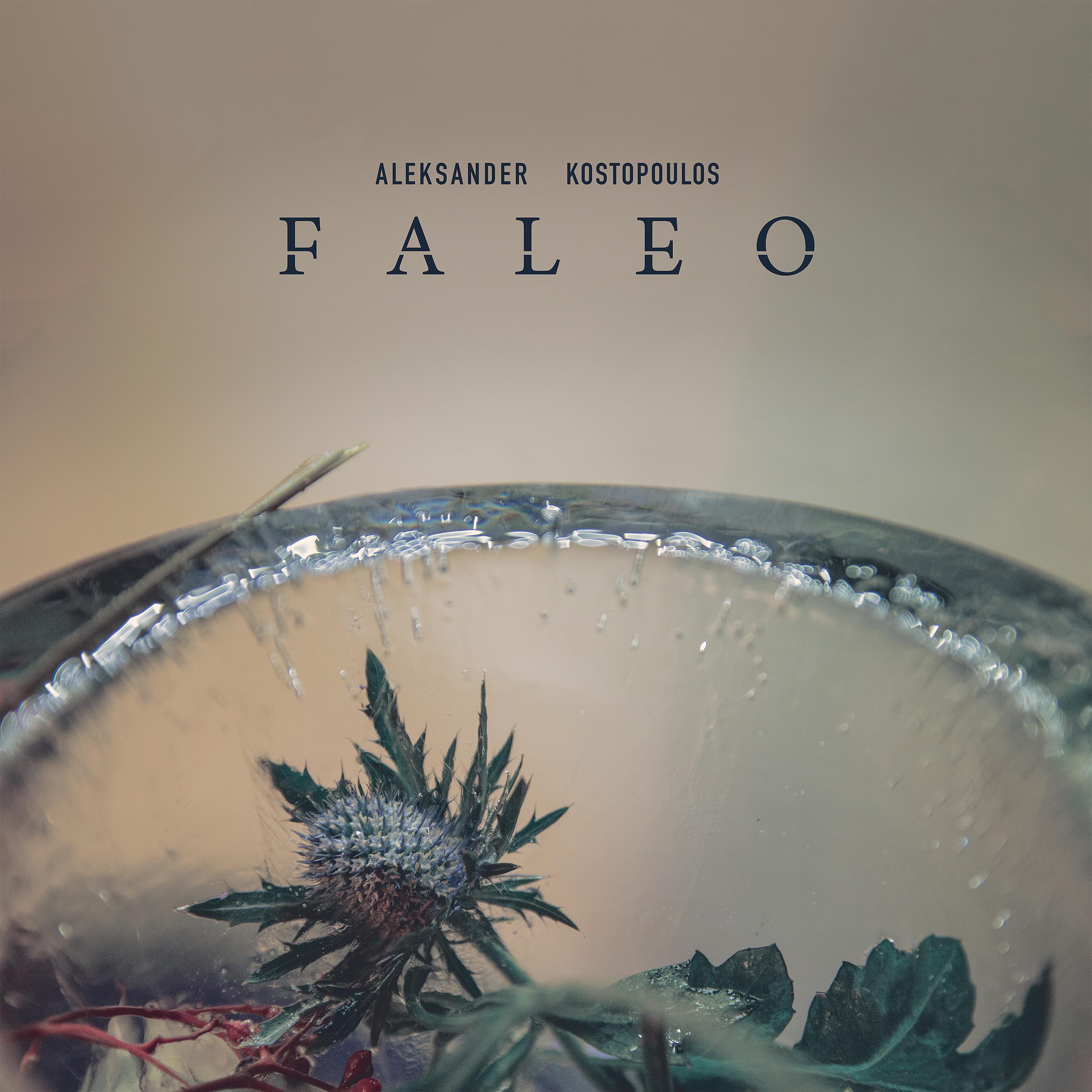 Постер альбома Faleo
