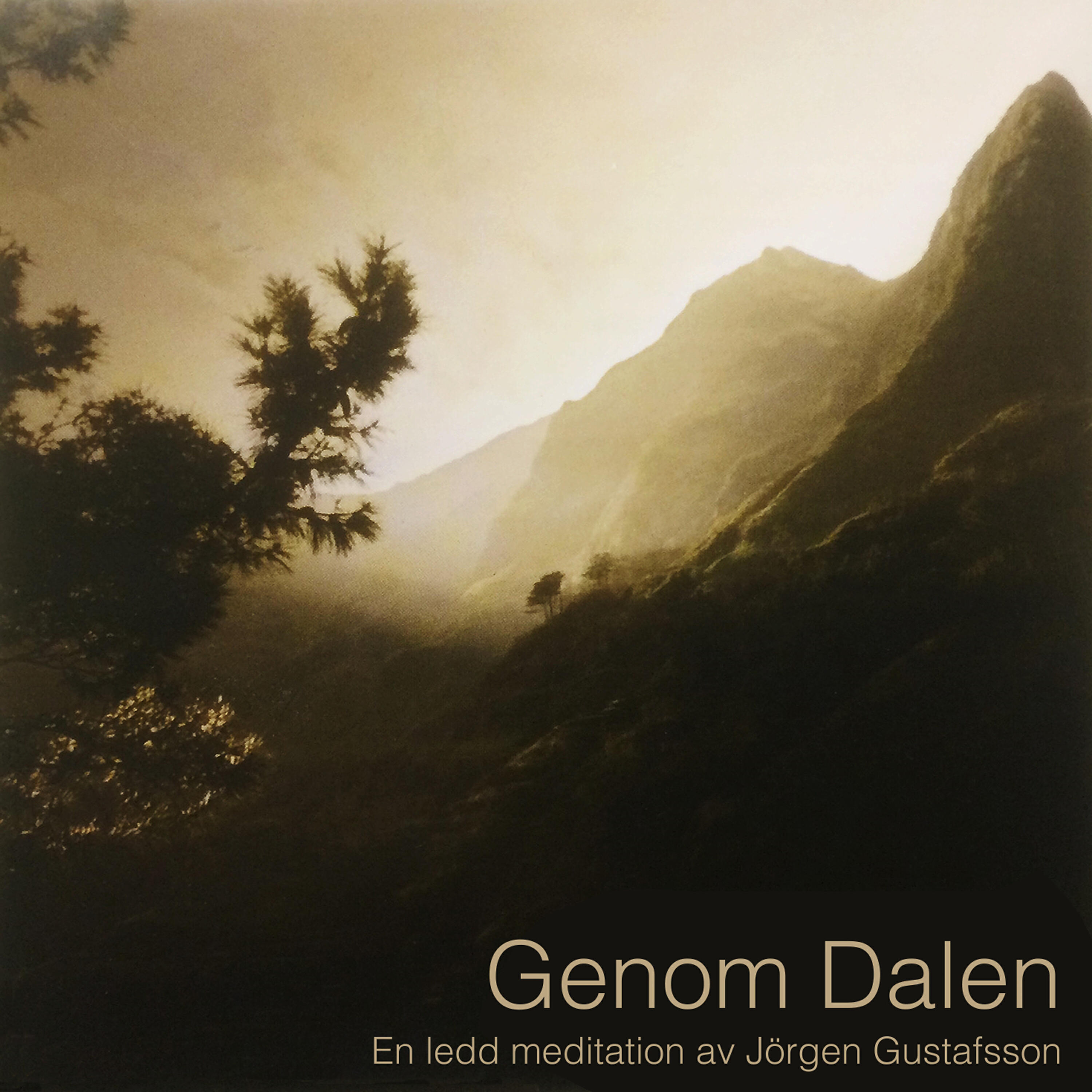Jörgen Gustafsson - Genom Dalen - En ledd meditation