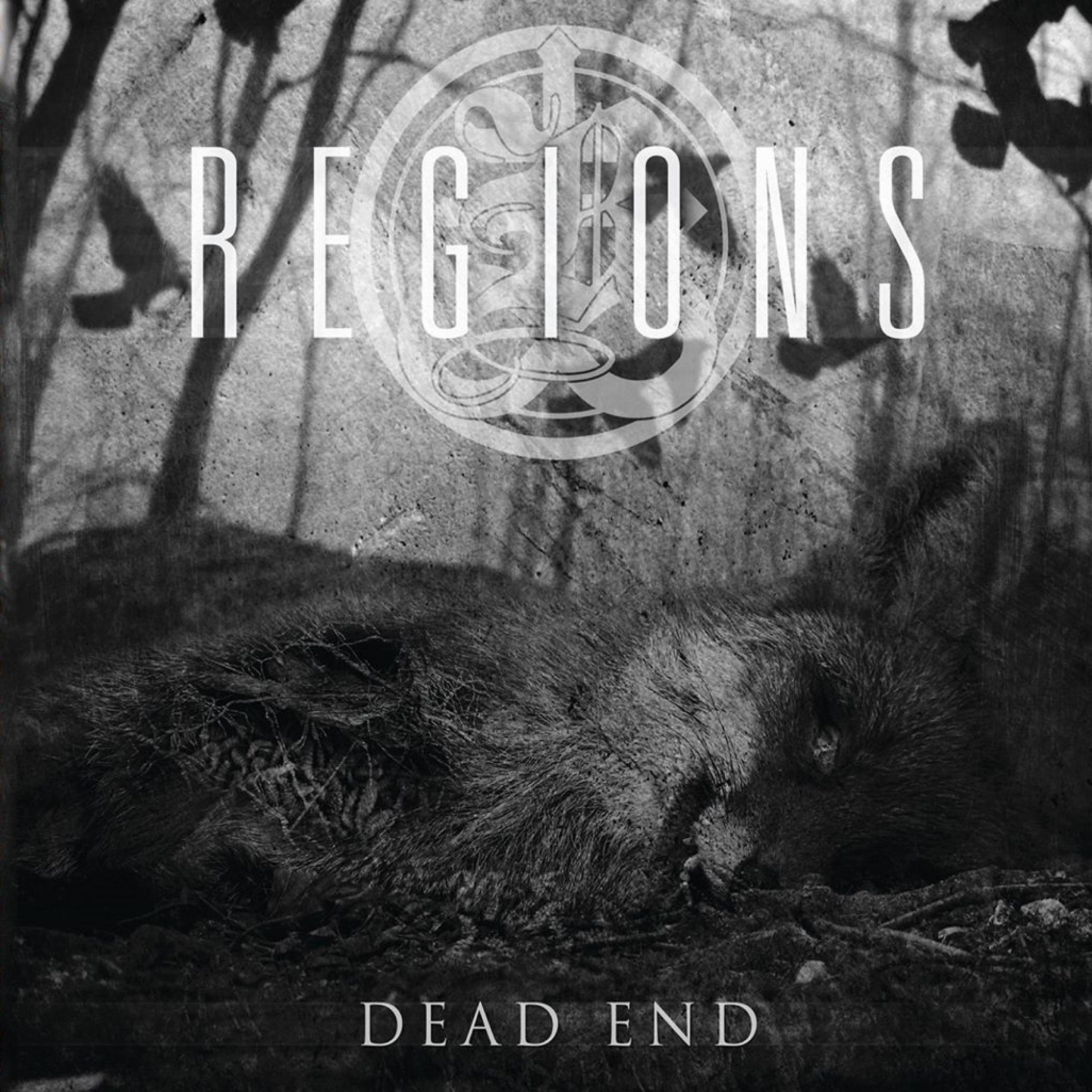 Постер альбома Regions - Dead End EP