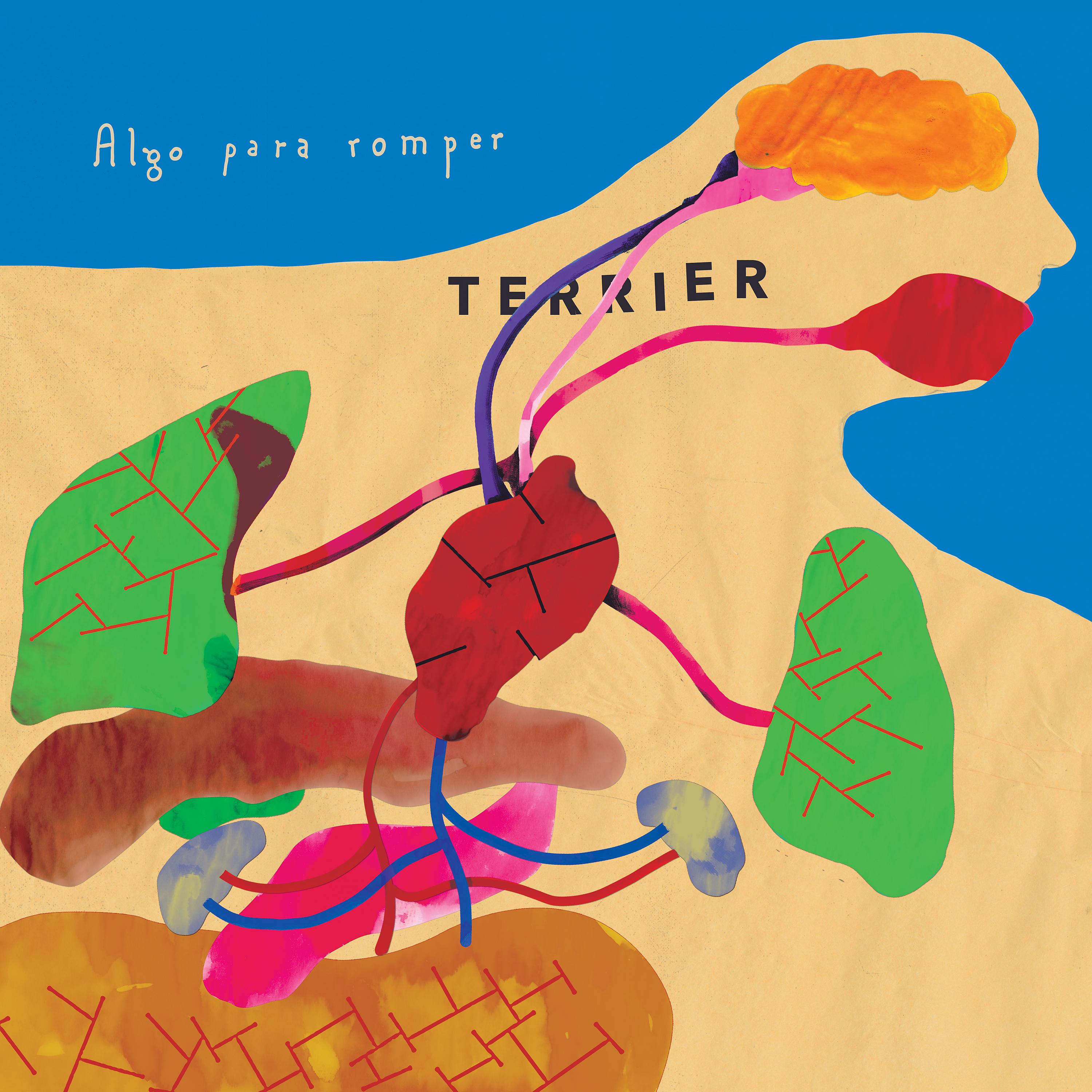 Постер альбома Algo para Romper