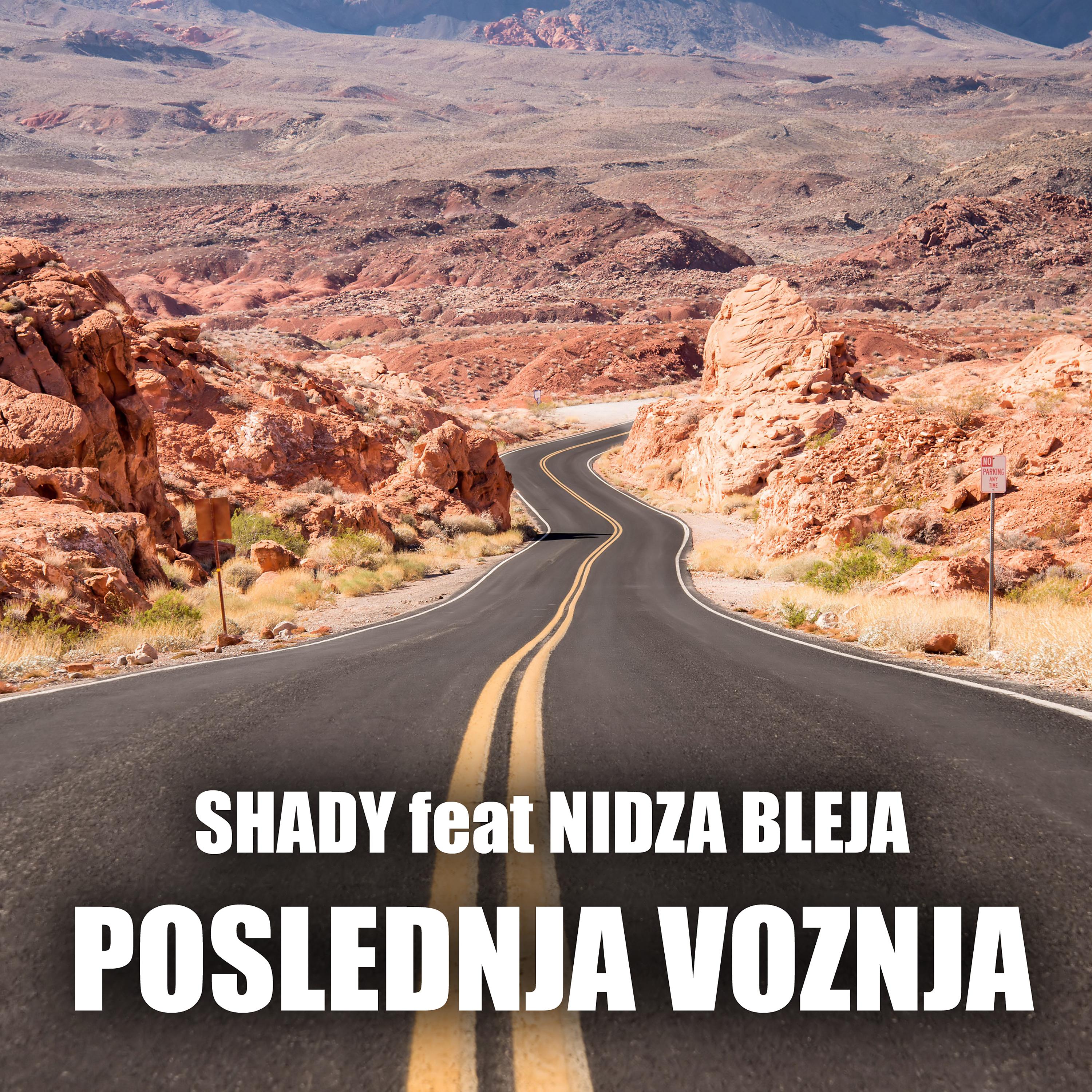 Постер альбома Poslednja voznja (feat. Nidza Bleja)