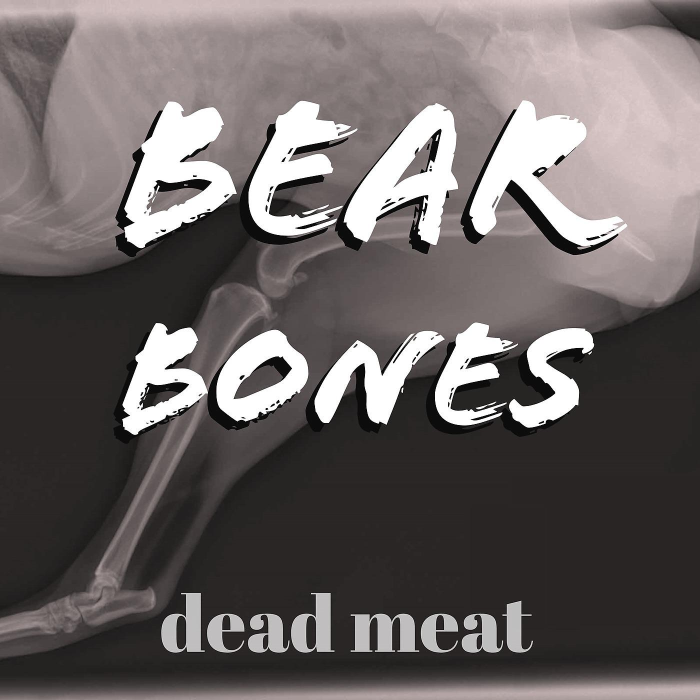 Постер альбома Dead Meat