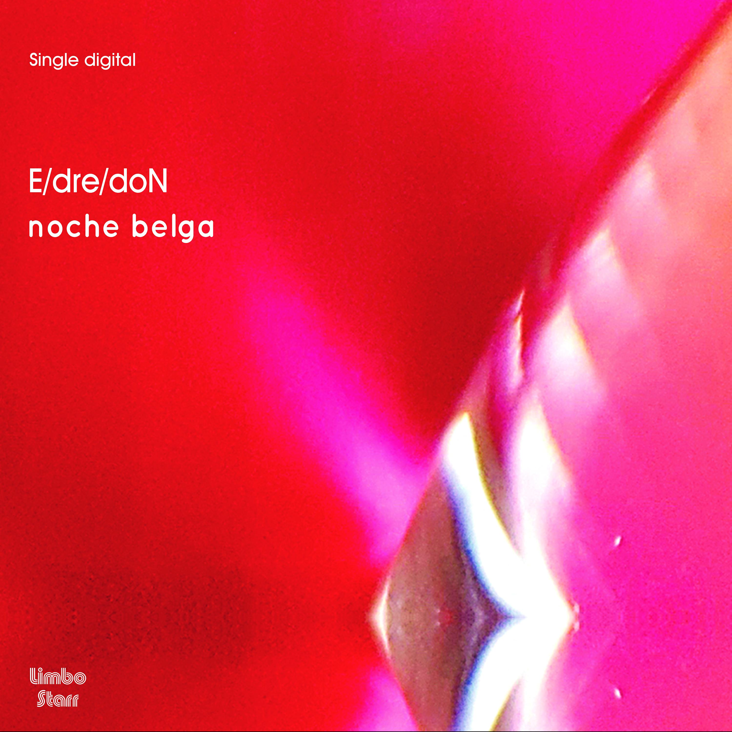Постер альбома Noche Belga