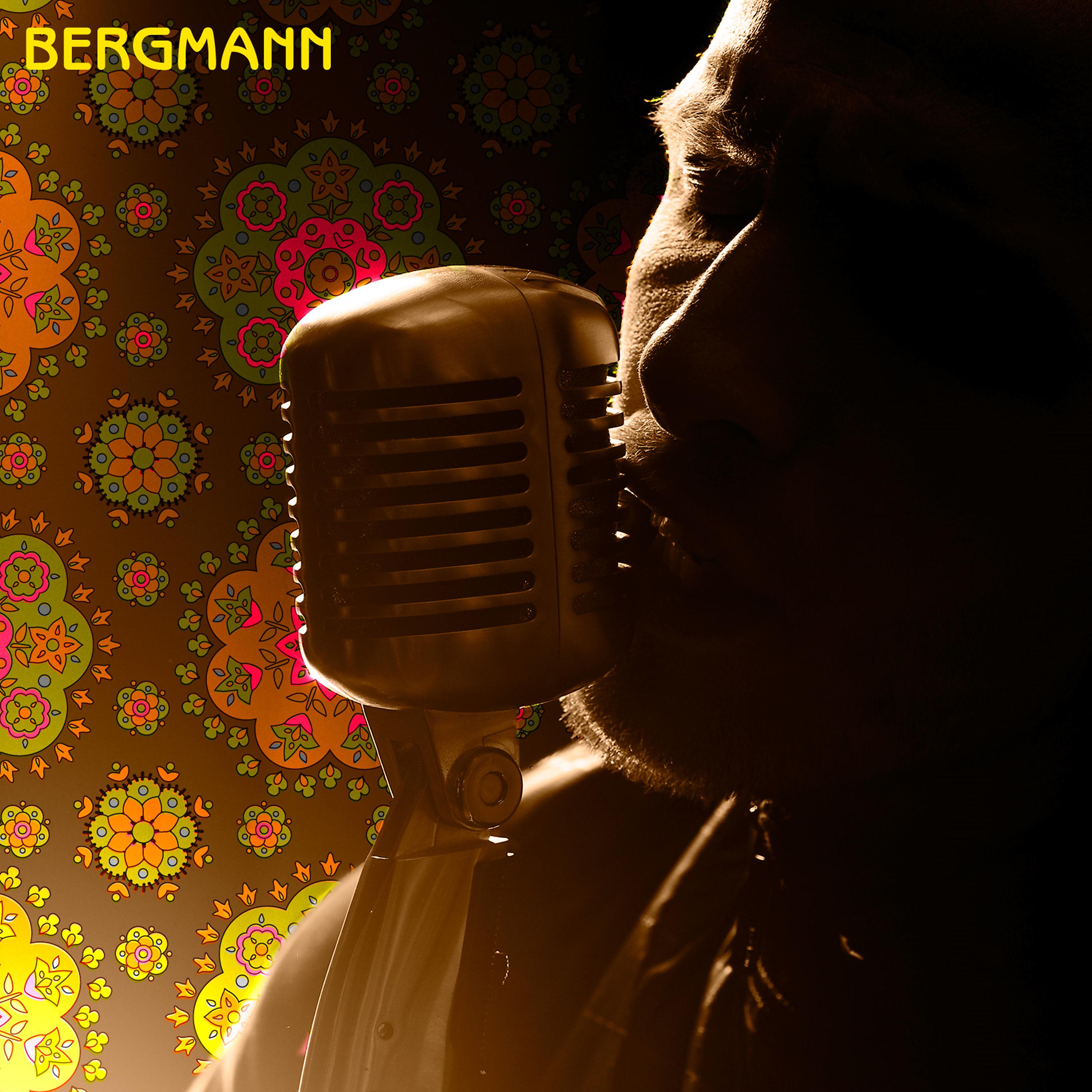 Постер альбома Bergmann