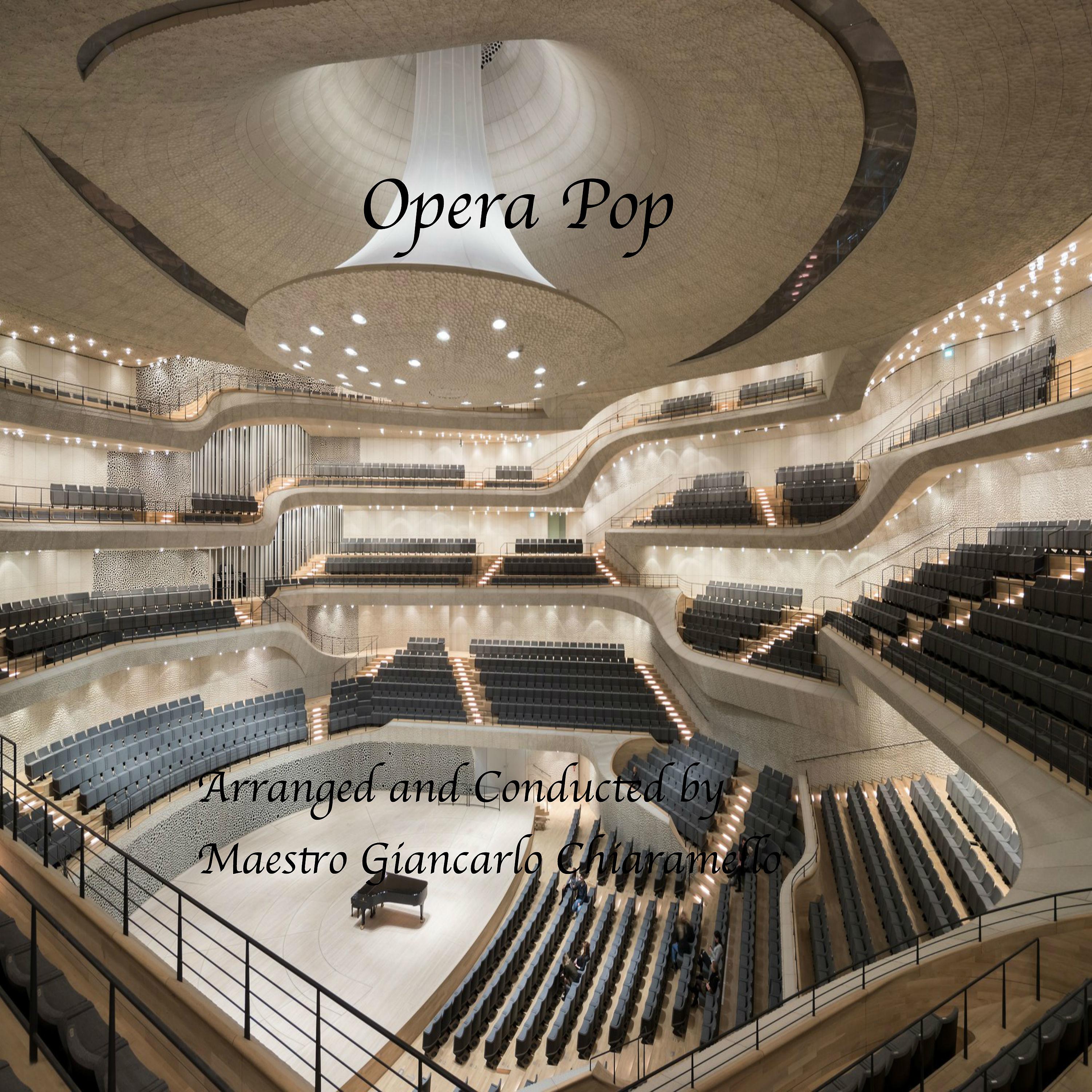 Постер альбома Opera Pop