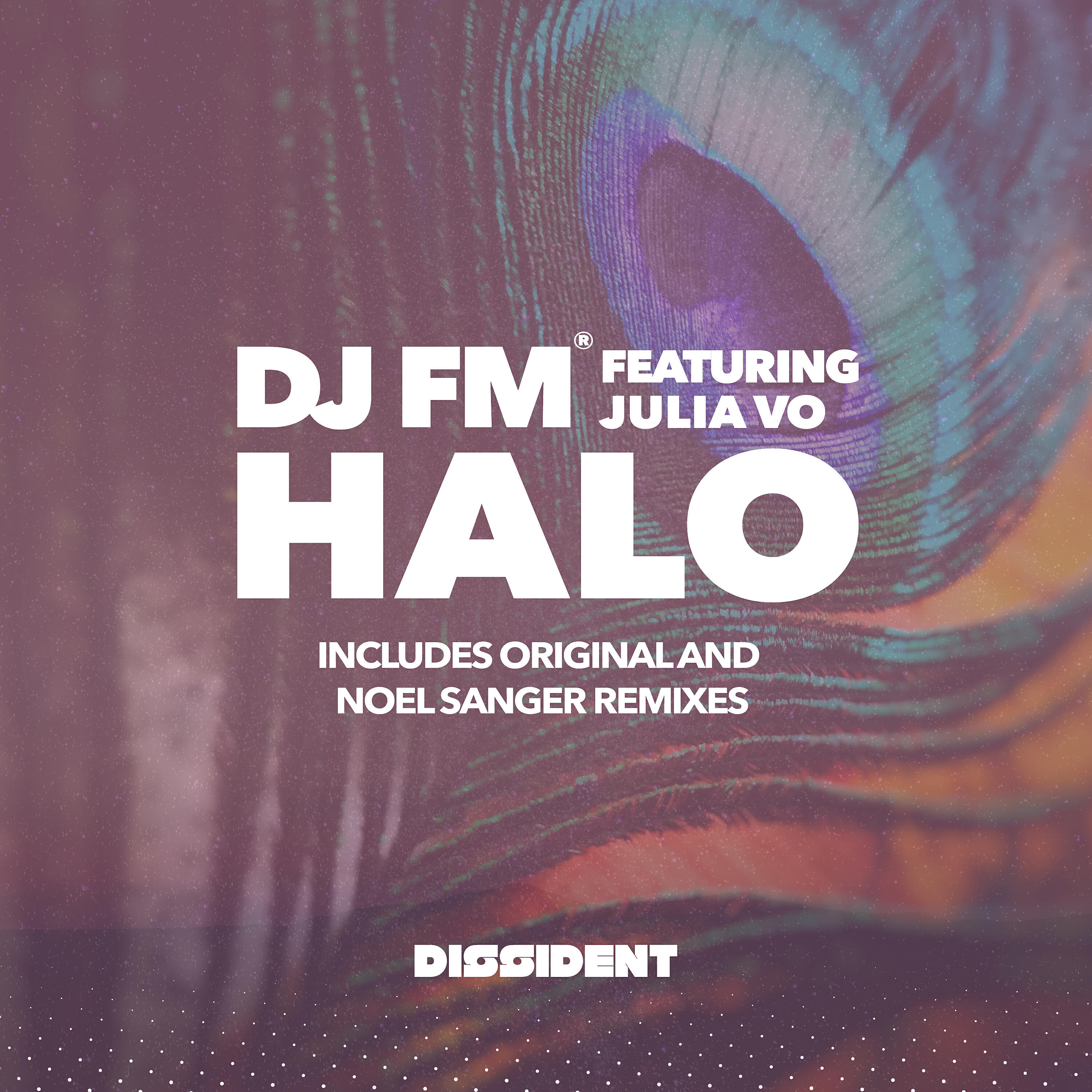 DJ FM - Halo (Noel Sanger Dub)