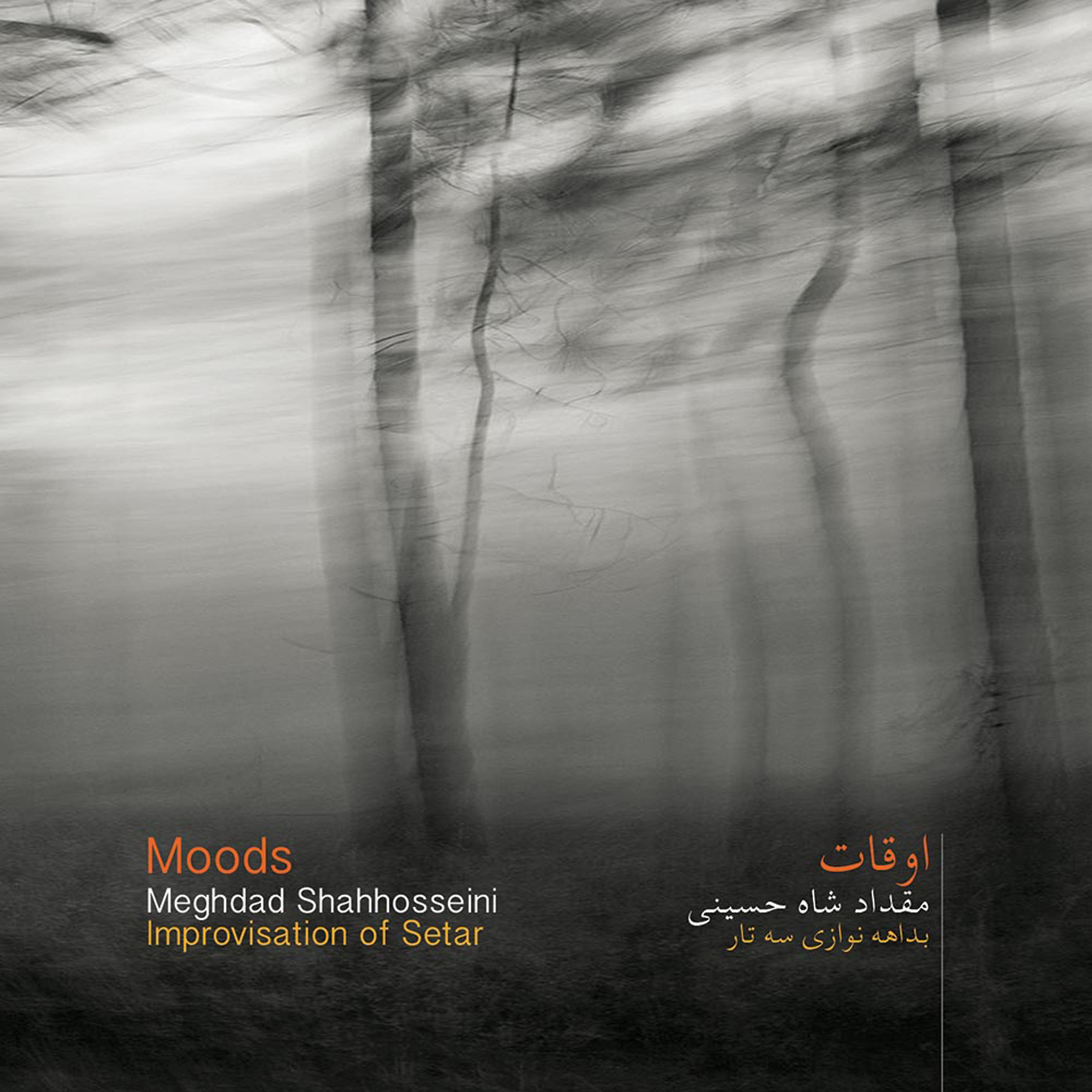 Постер альбома Moods - Improvisation of Setar