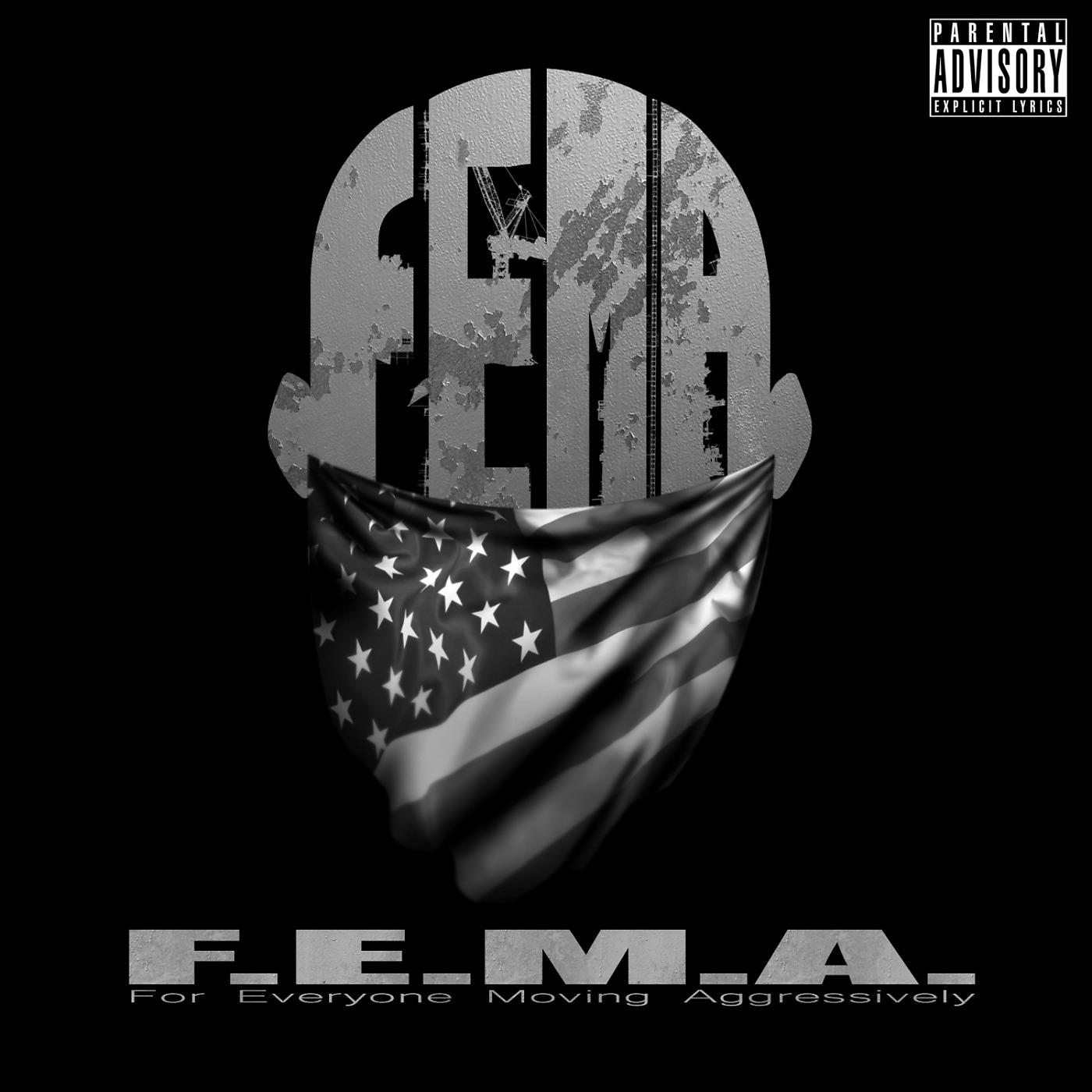 Постер альбома F.E.M.a.