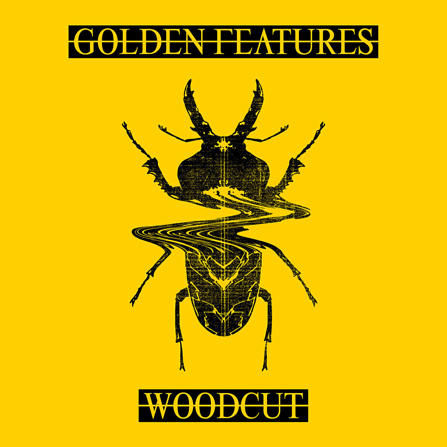 Golden Features - Woodcut (feat. Rromarin) [Machinedrum Remix]