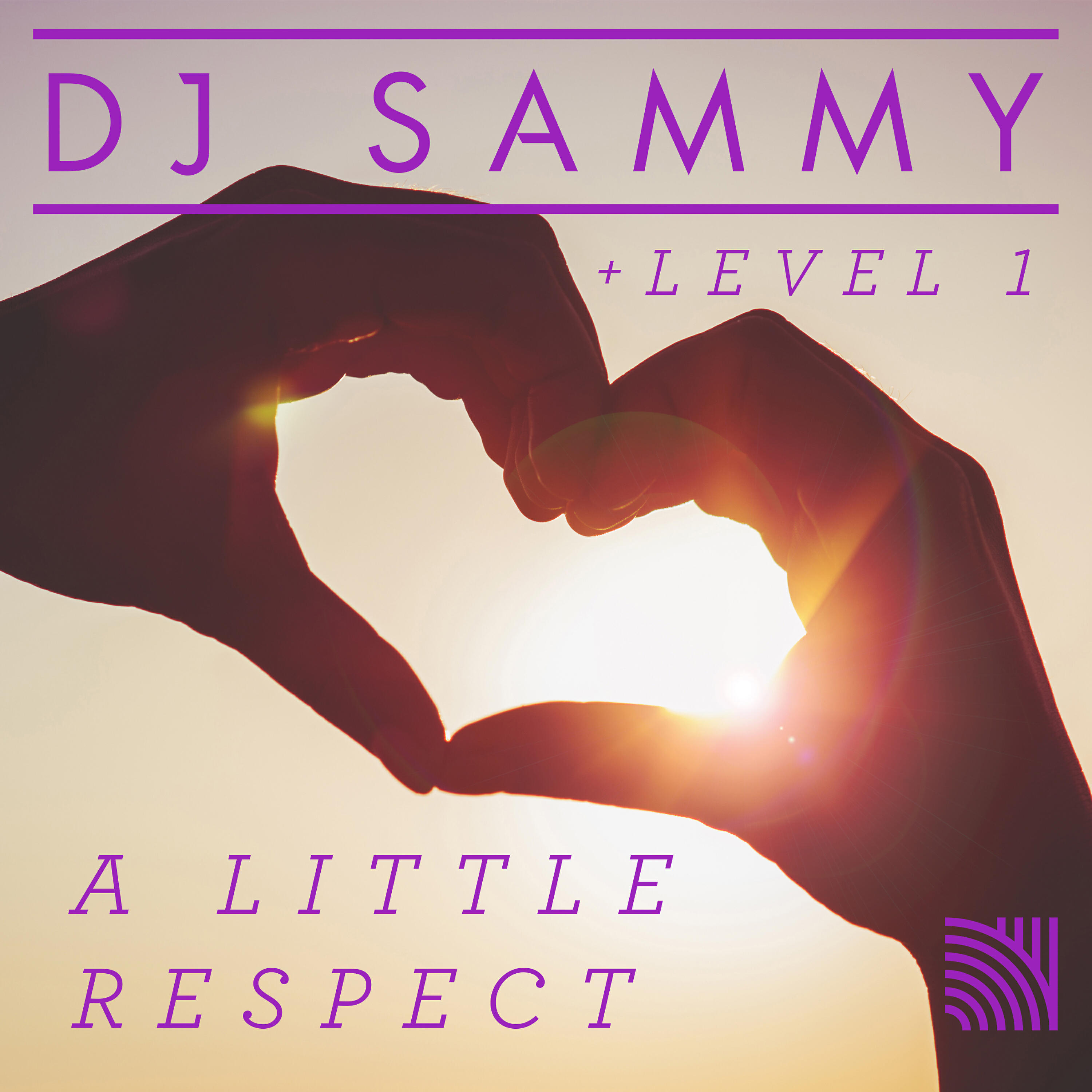 DJ Sammy - A Little Respect