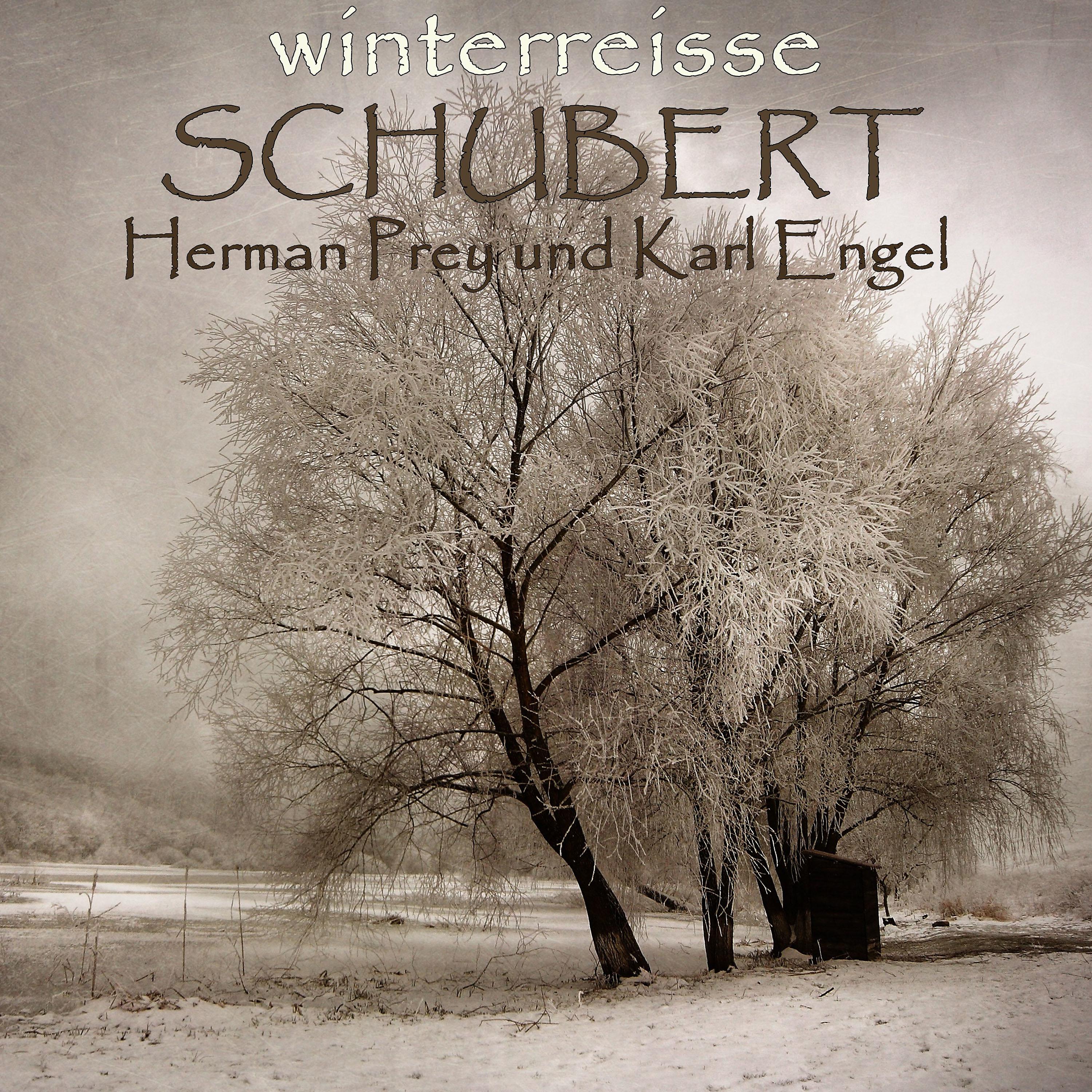 Постер альбома Schubert: Winterreisse, D. 911