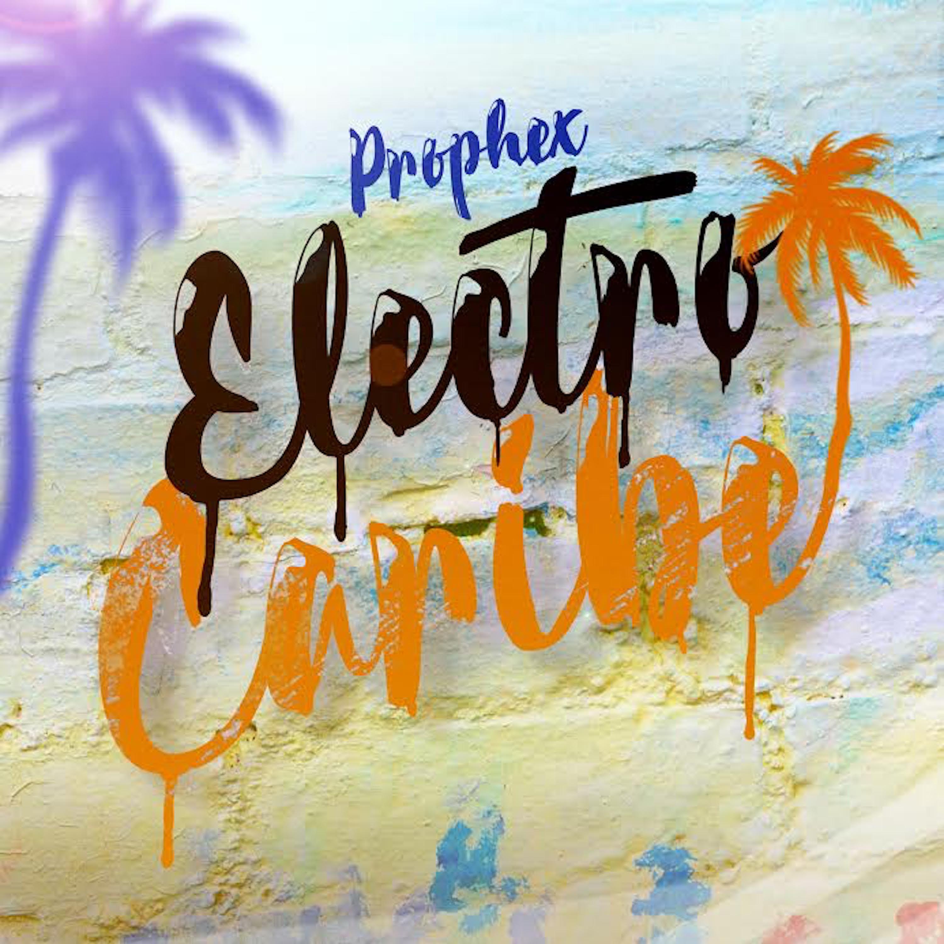 Постер альбома Electro Caribe