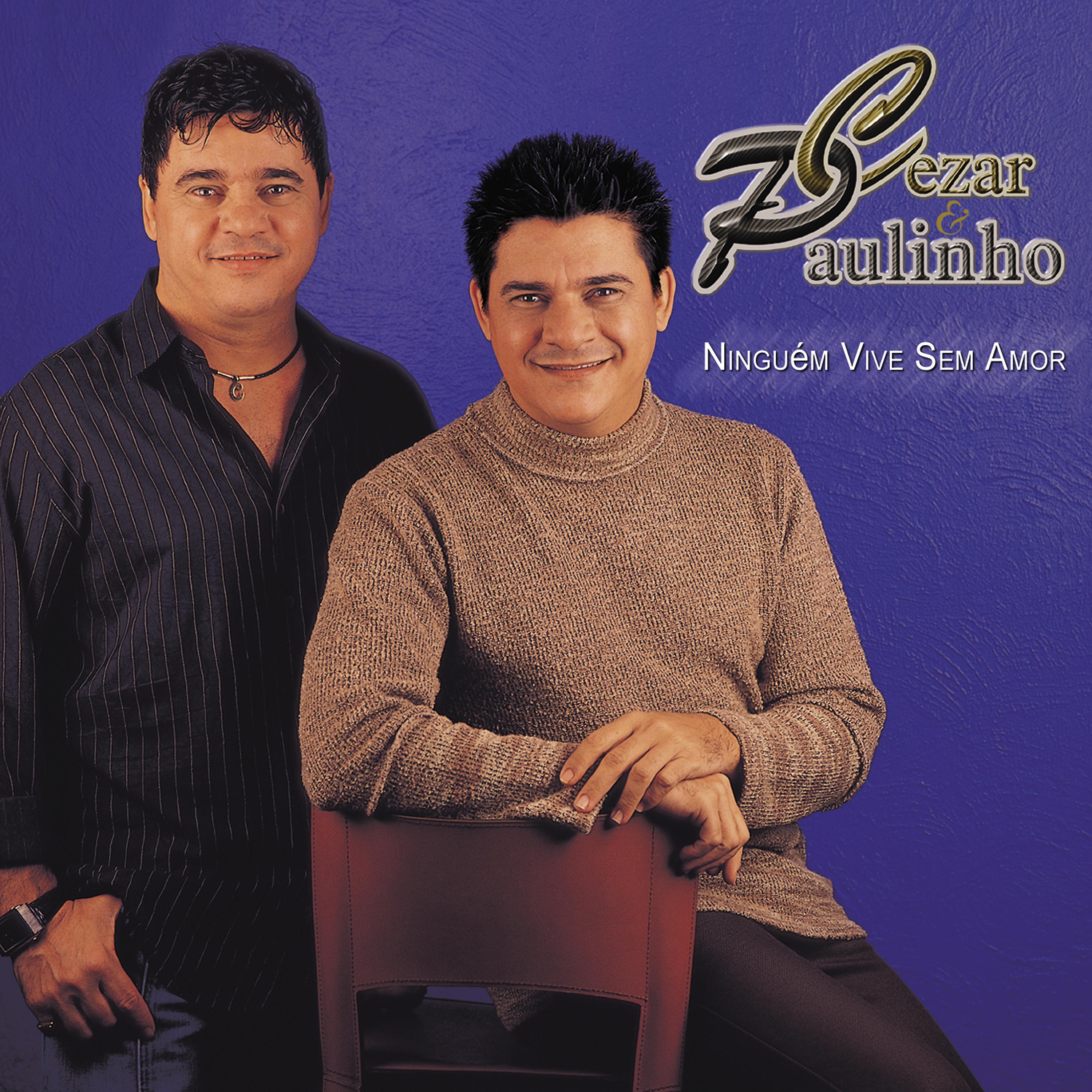 Постер альбома Ninguém vive sem amor