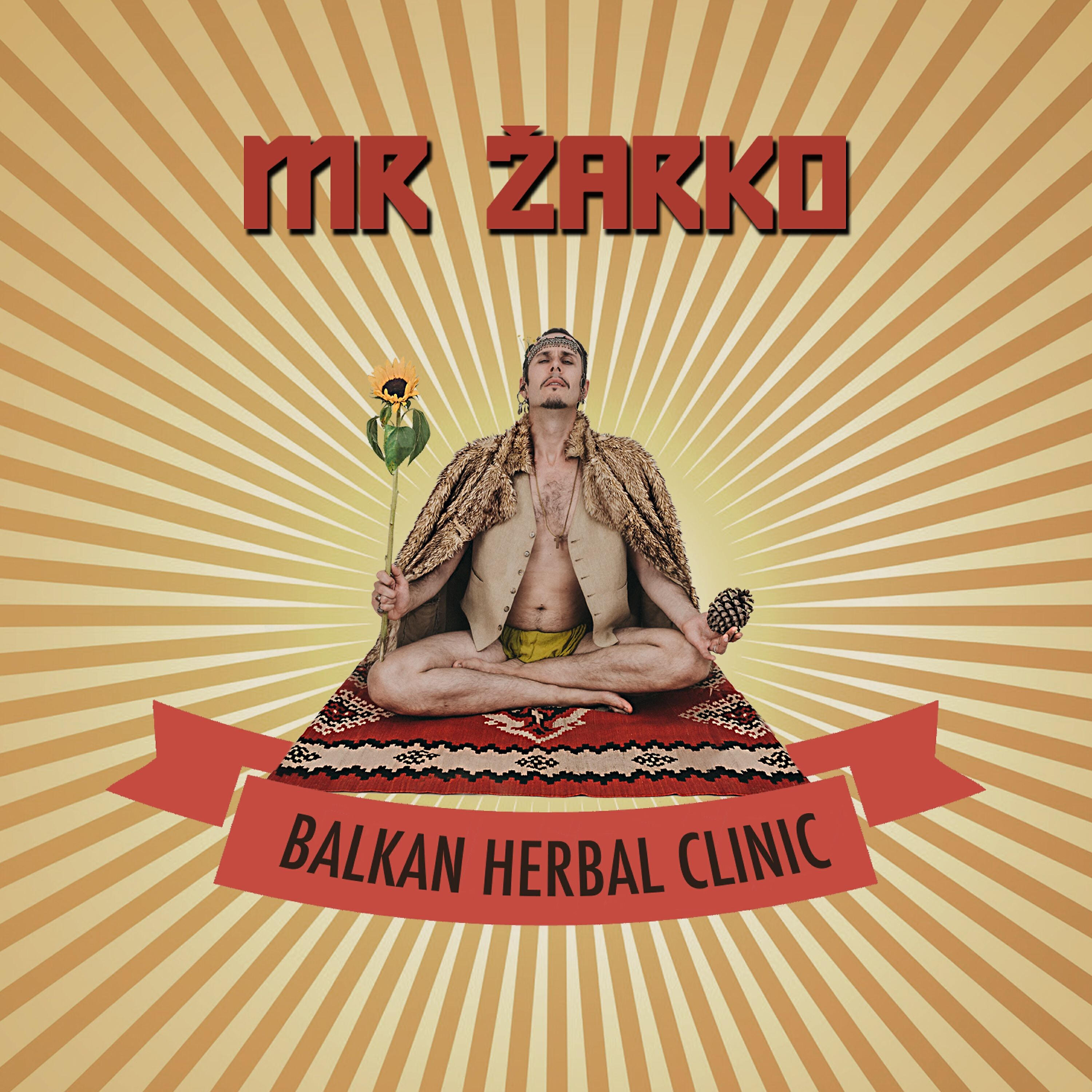 Mr Zarko - Can I Kiss You with My Electric Guitar
