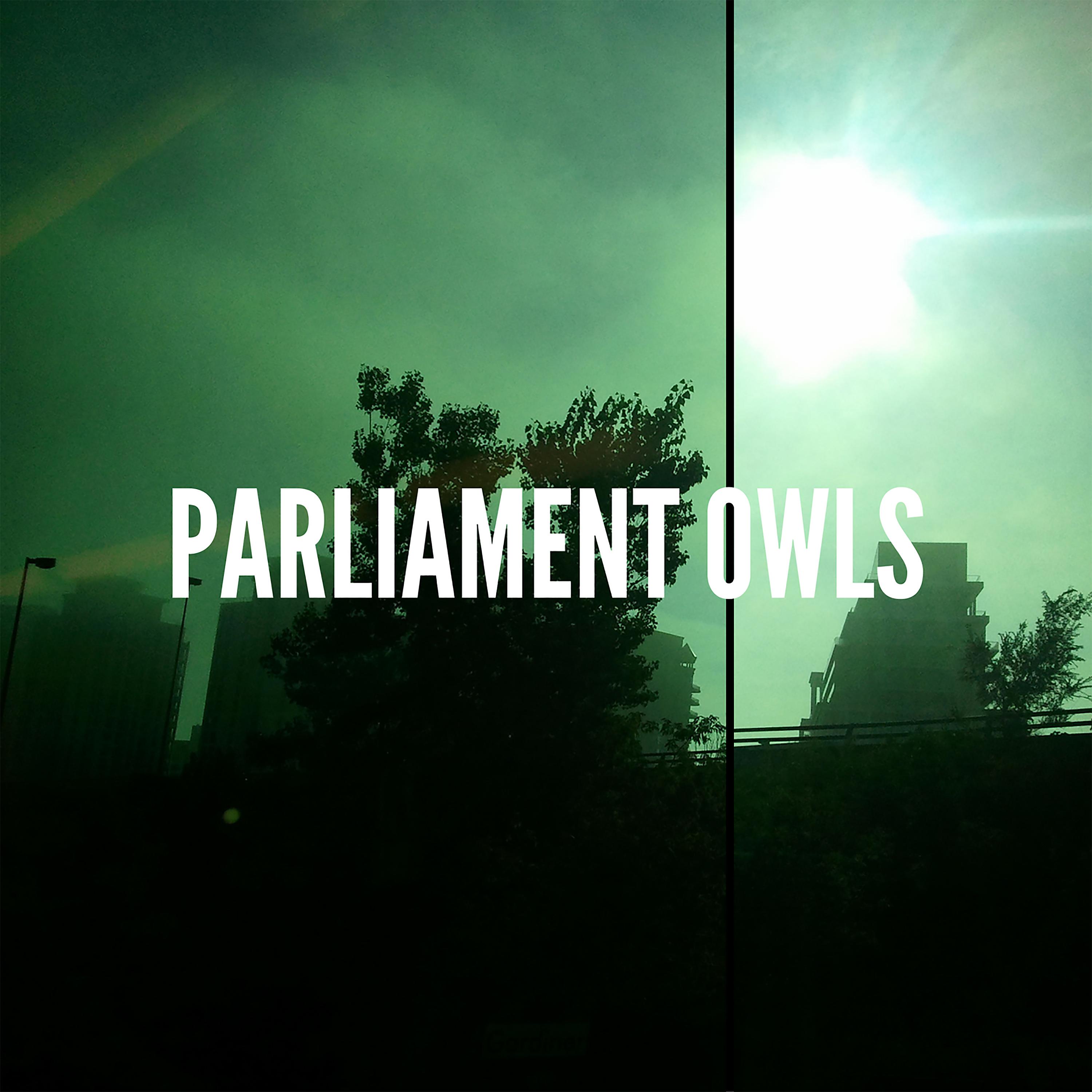 Parliament Owls - Scarab