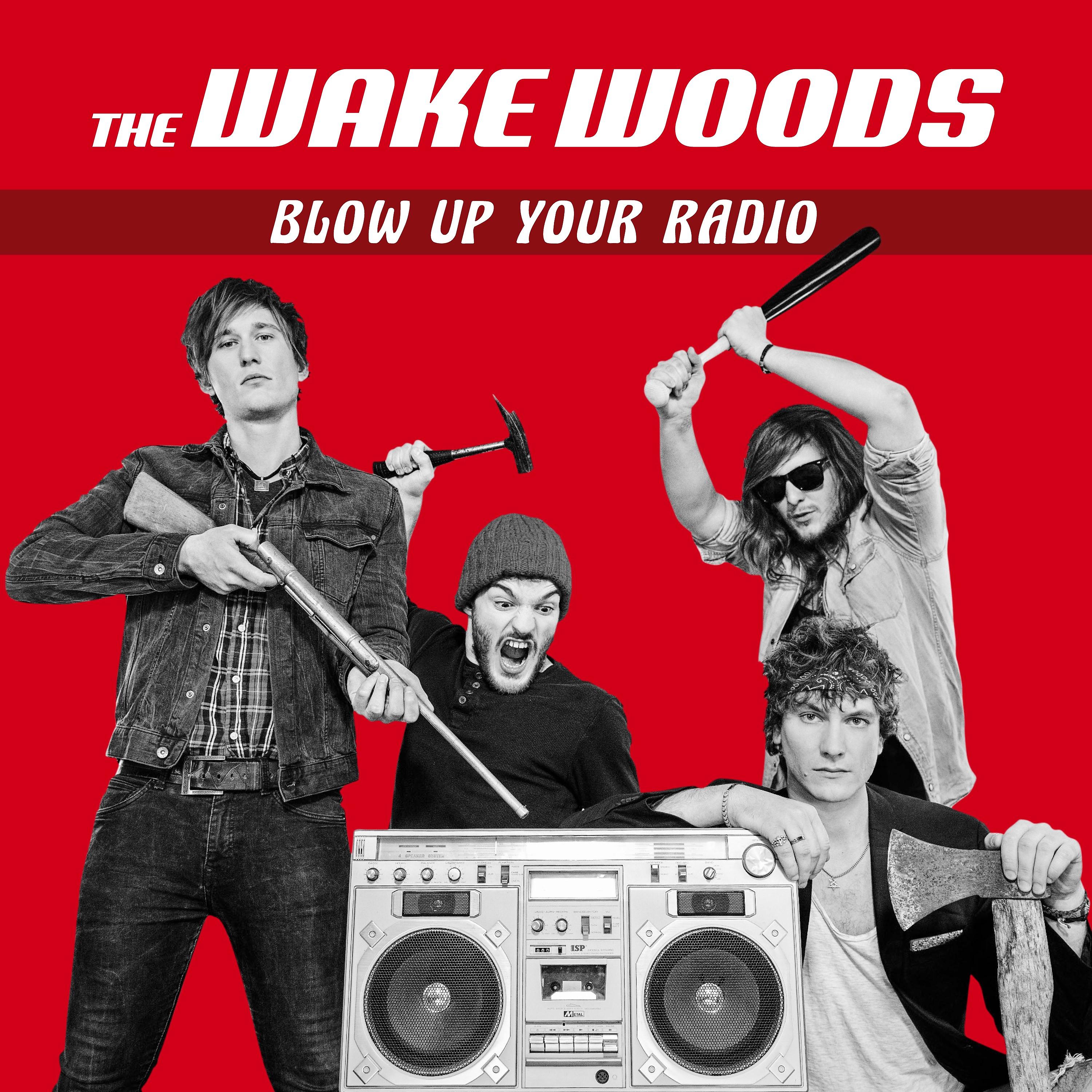 Постер альбома Blow up Your Radio