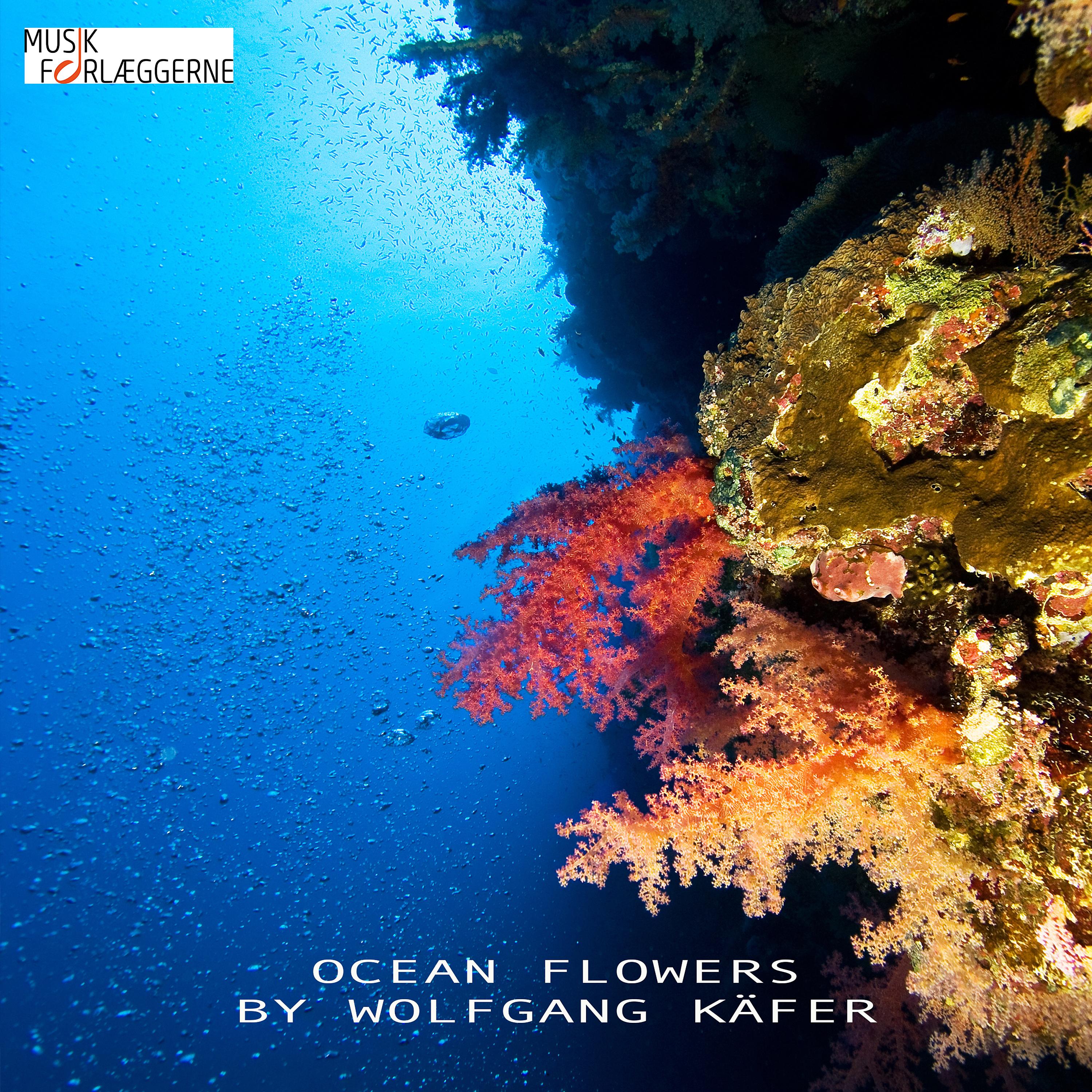 Постер альбома Ocean Flowers