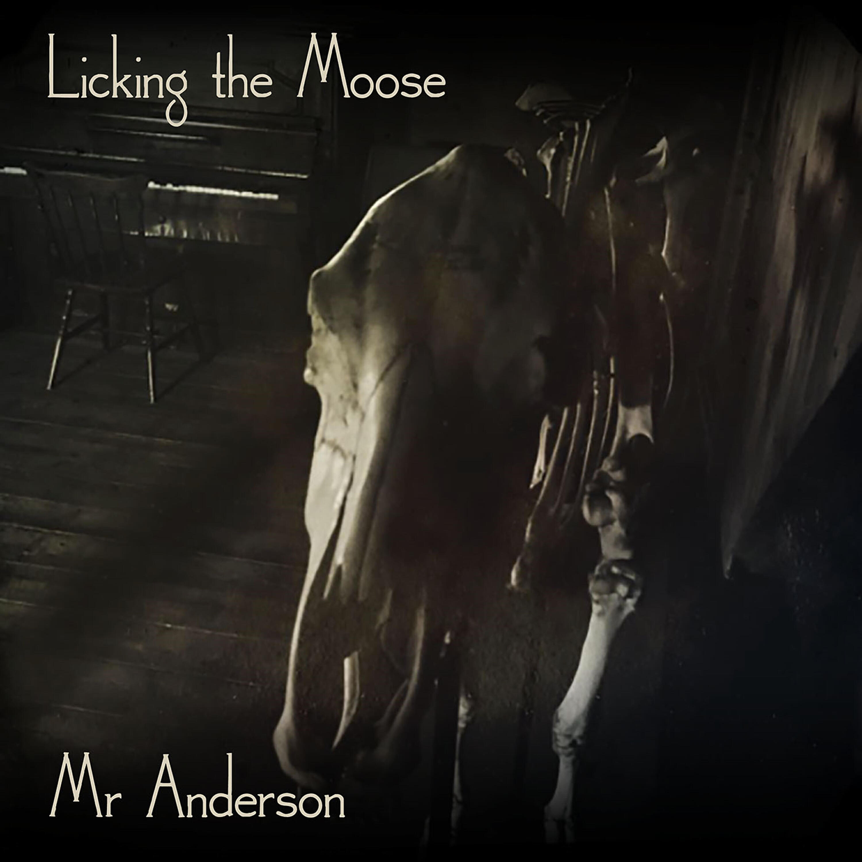 Licking the moose - Mr Anderson