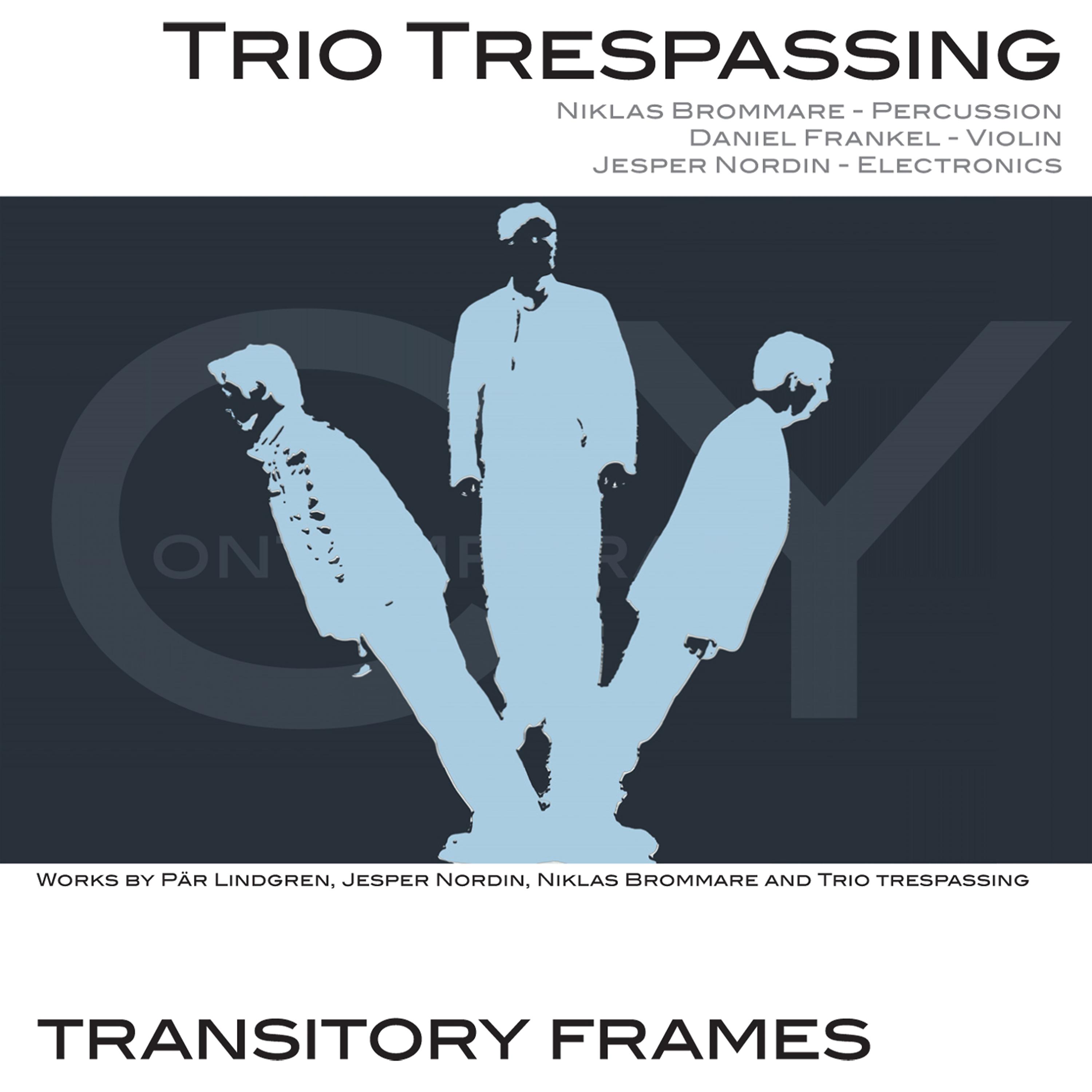 Постер альбома Transitory Frames