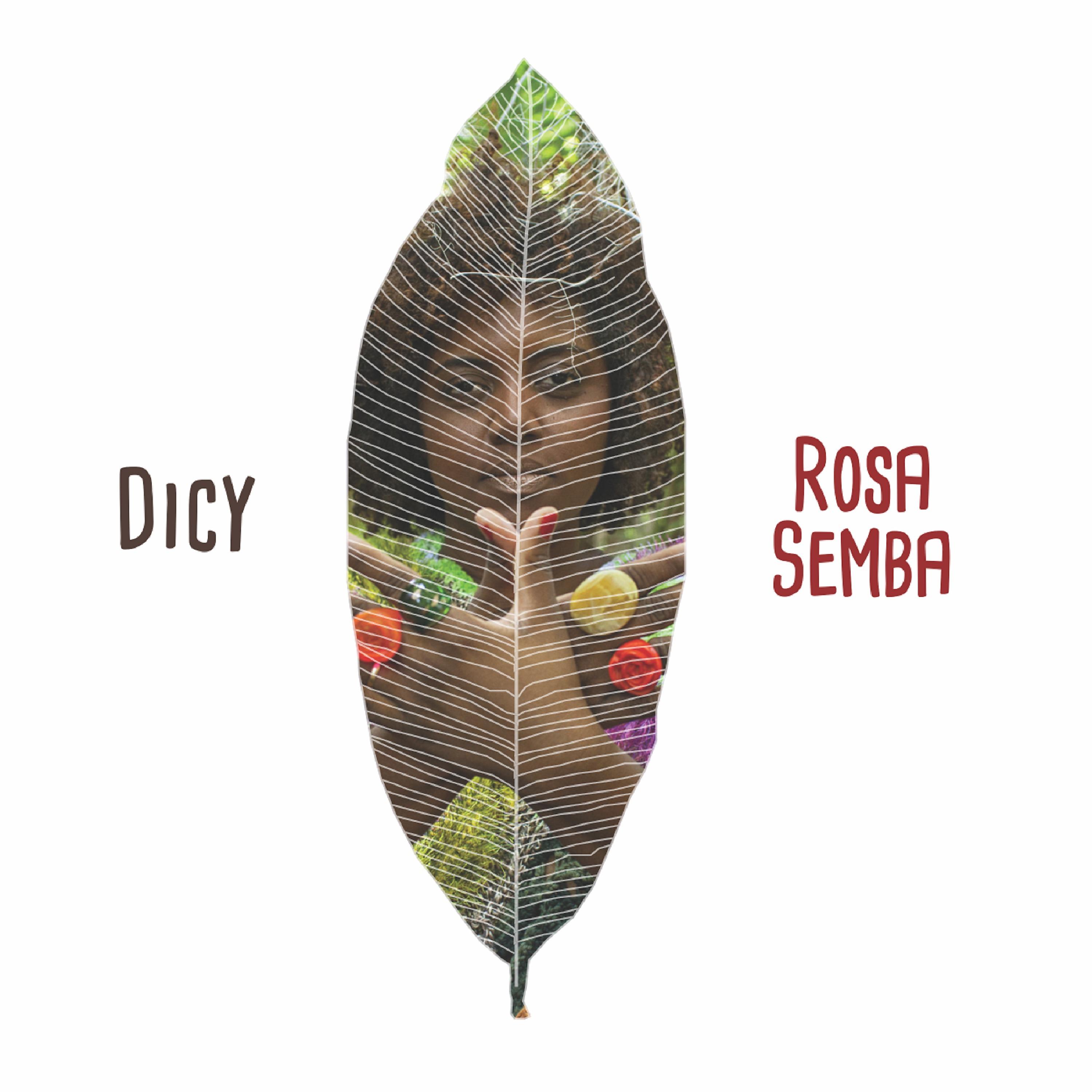 Постер альбома Rosa Semba