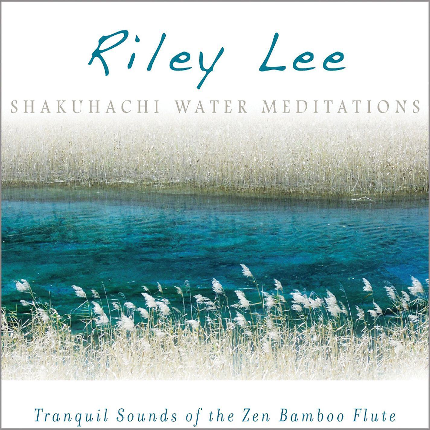 Riley Lee - Safe Passage (Tamuke)
